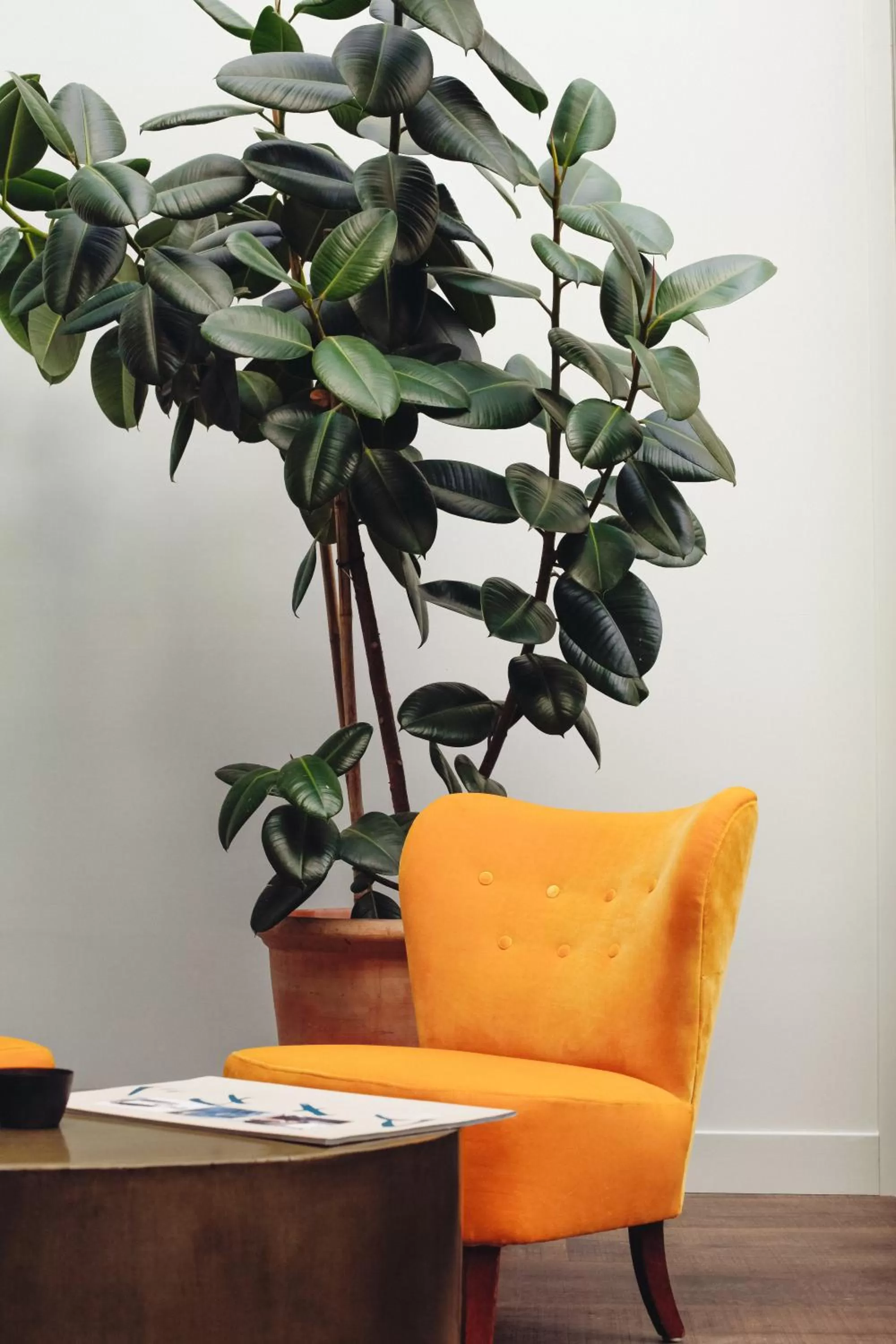 Breakfast in The Bank Hotel