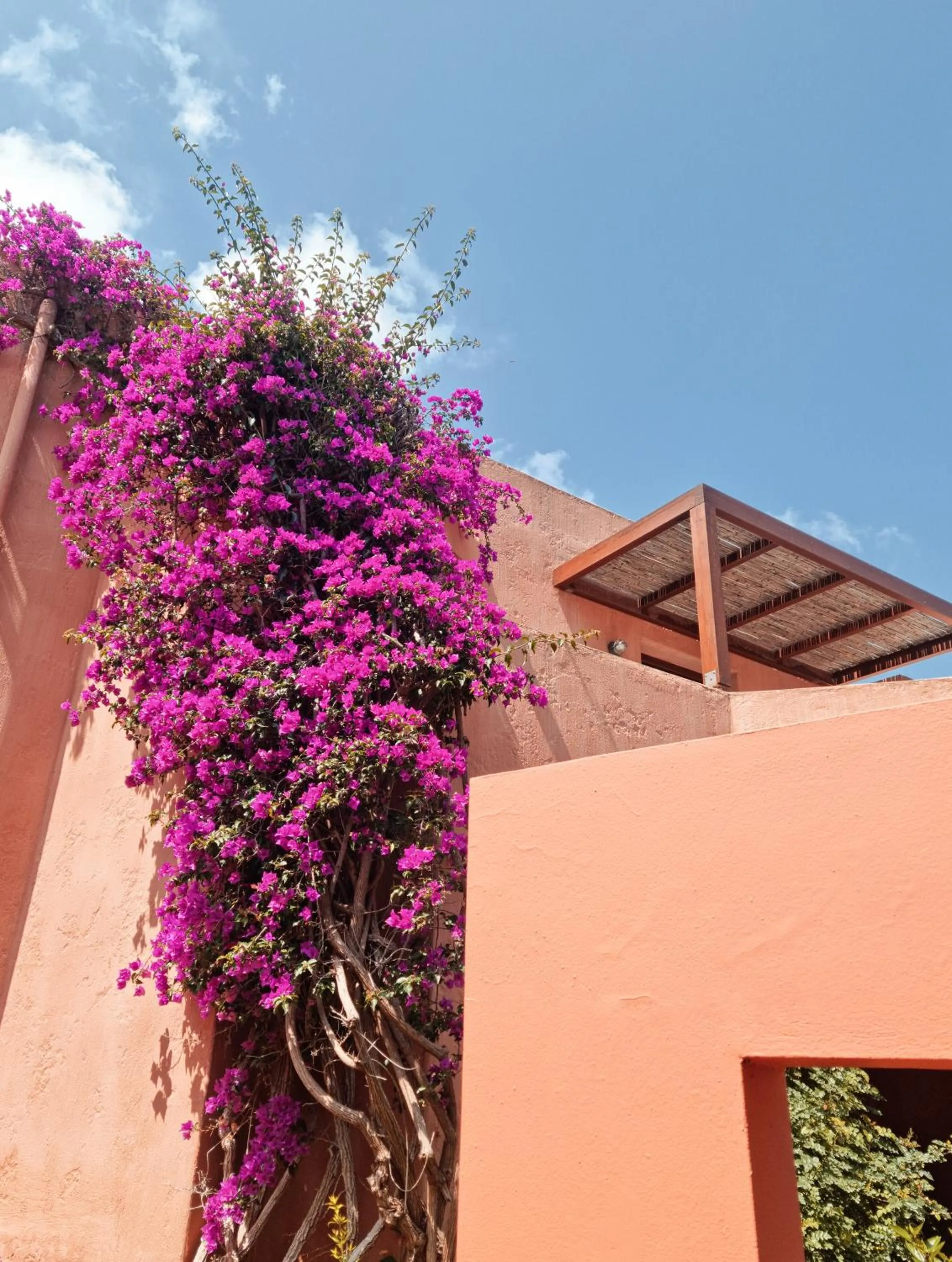 Garden in Koutouloufari Village Holiday Club