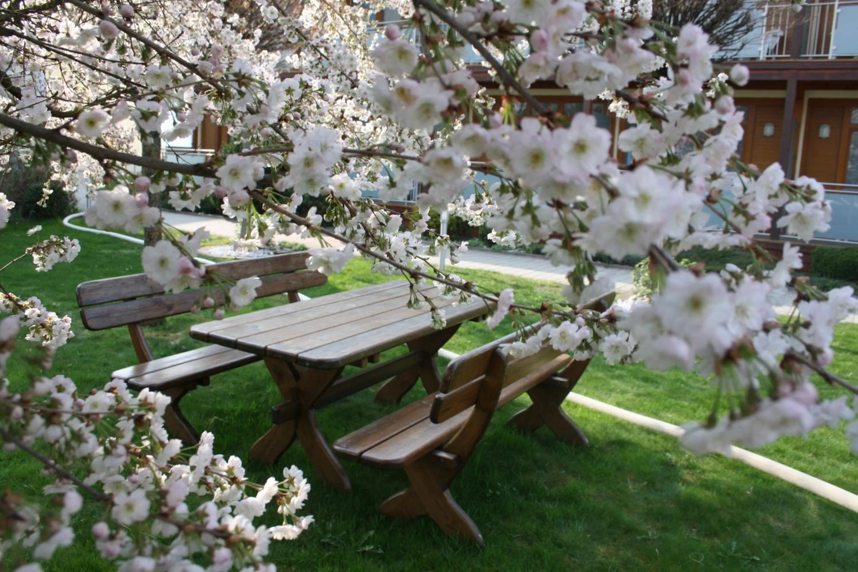 Garden in Hotel Locker & Legere