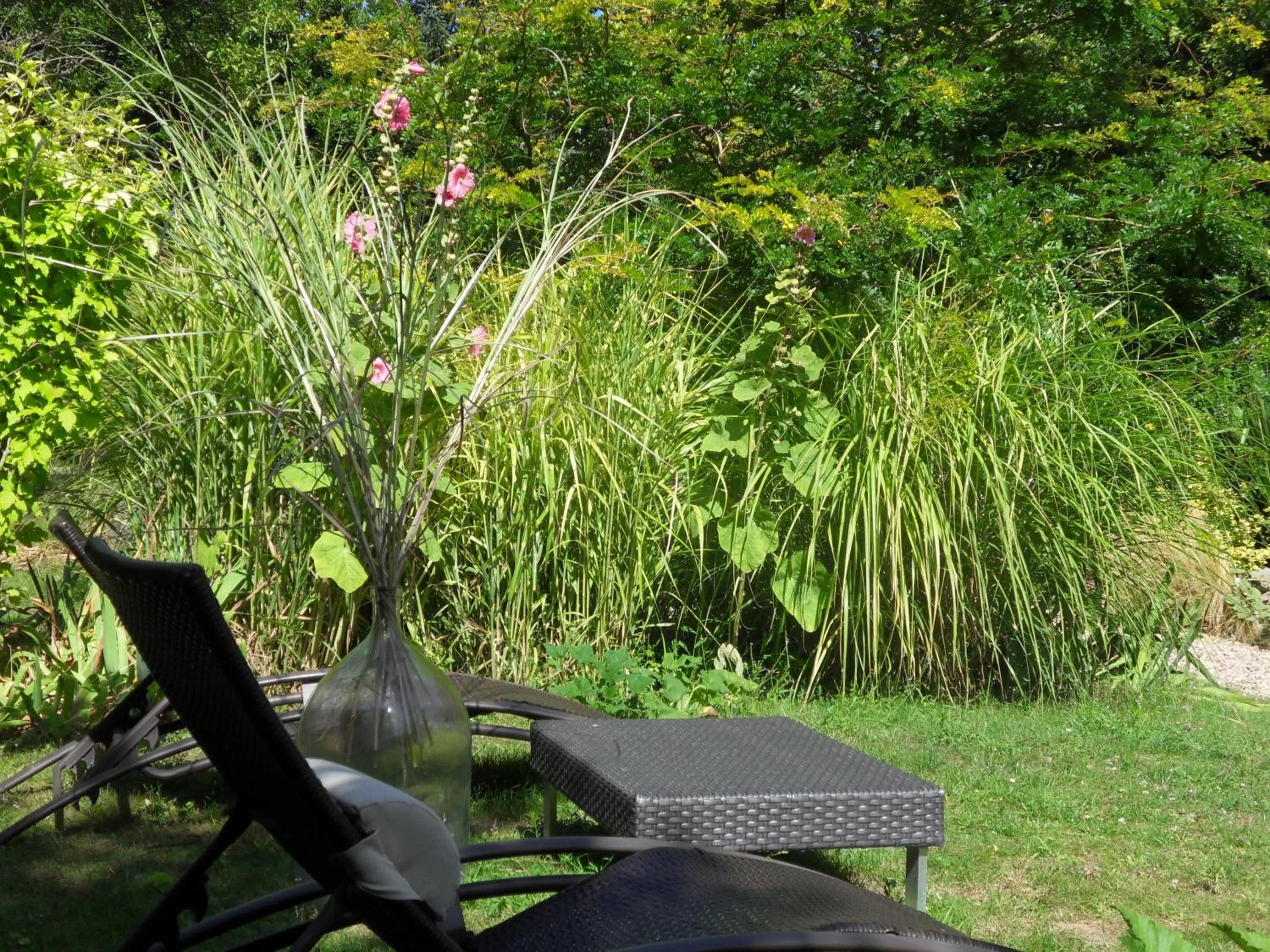 Garden in Troglodelice