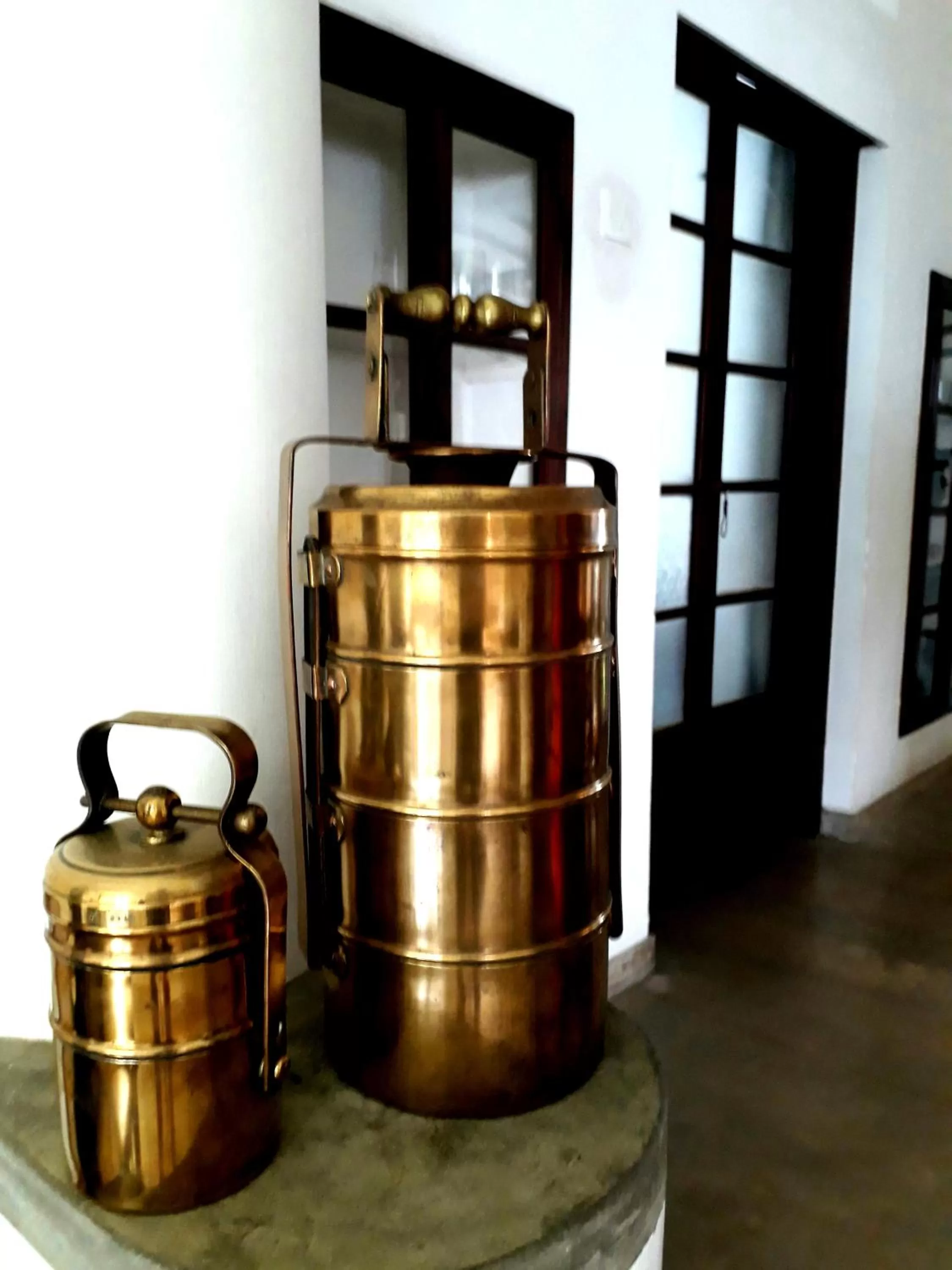 Decorative detail in "27" Spathodea- Oasis in the City