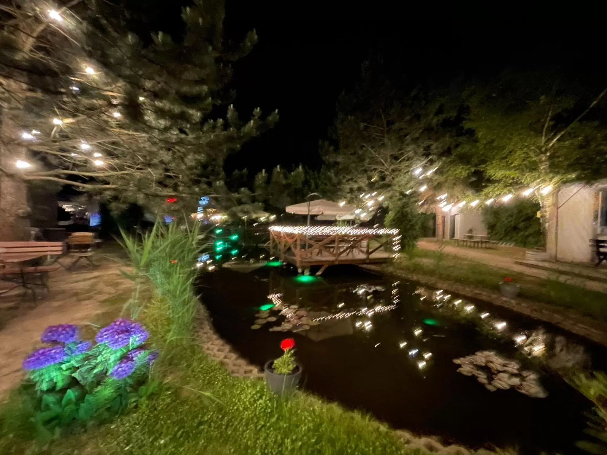 Pool View in Hotel Garden