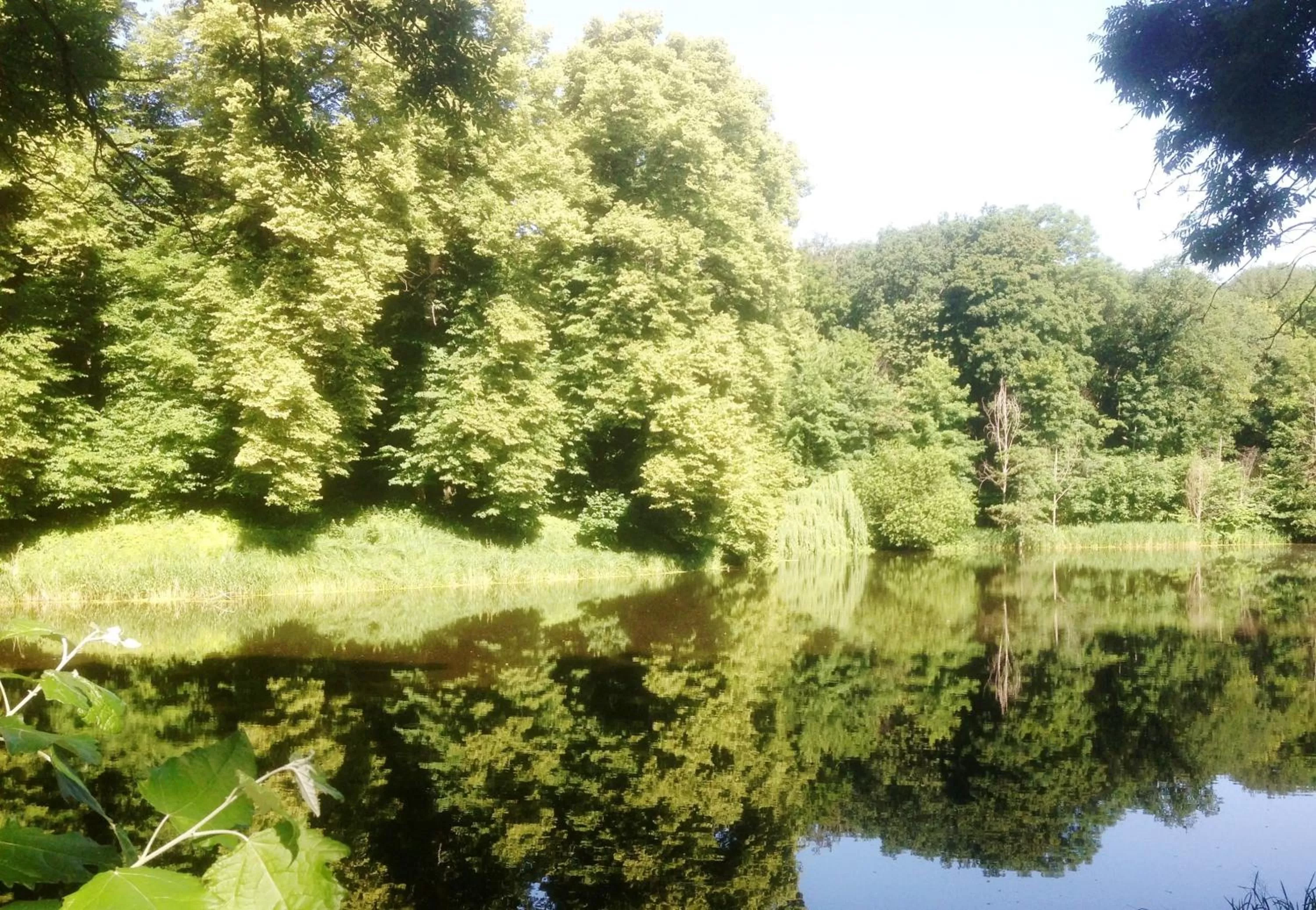 View (from property/room) in Carmina am See