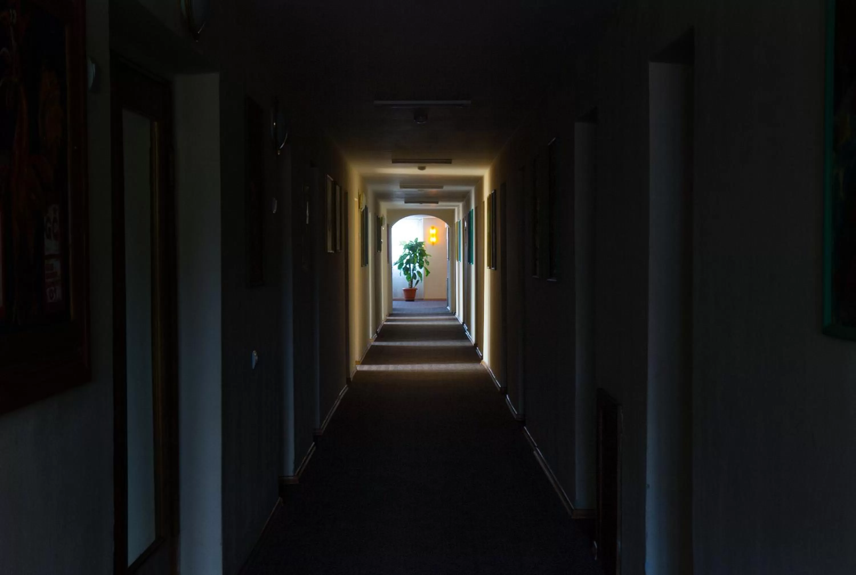 Decorative detail in Dzukija Hotel