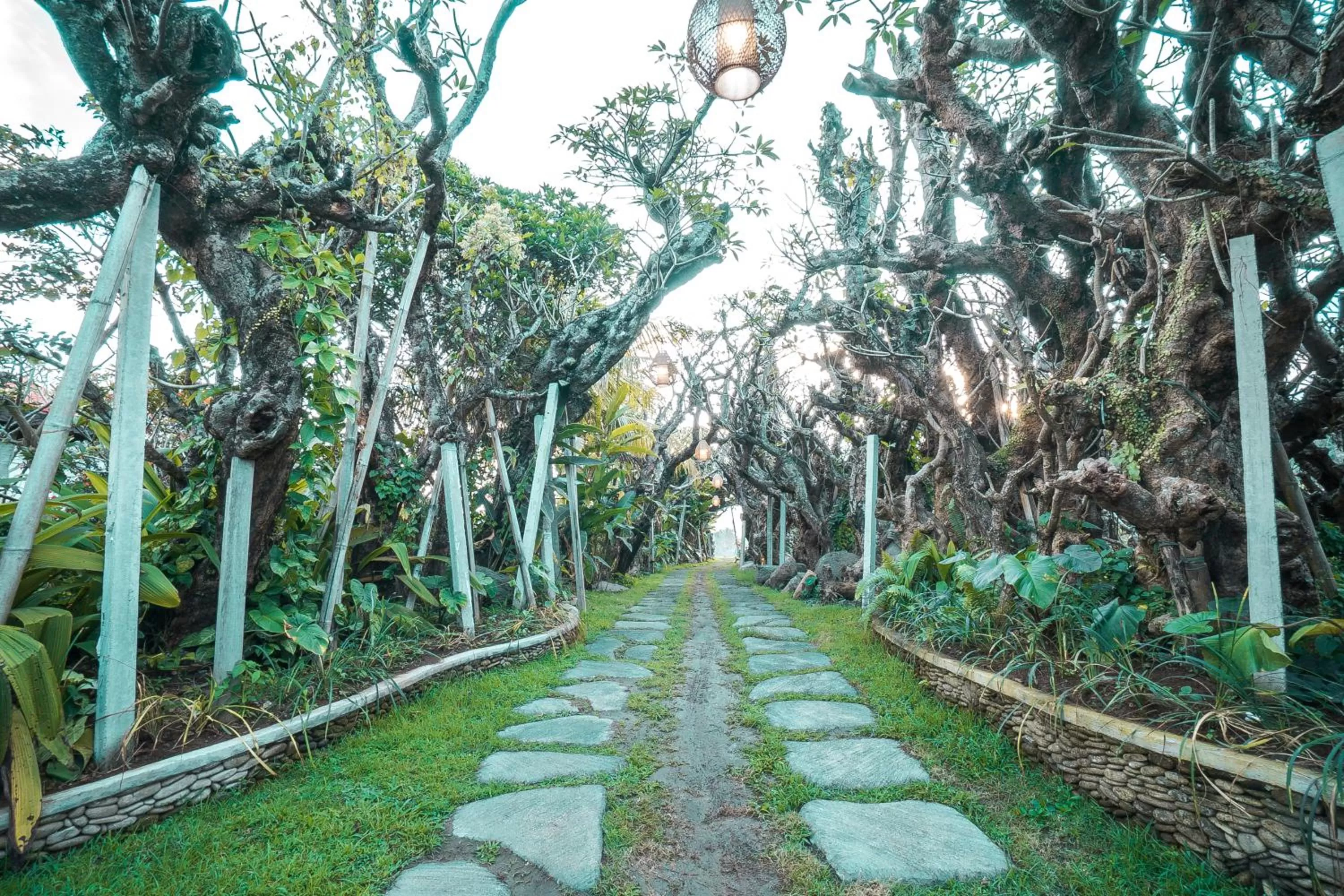 Garden in Gerindem Cottages