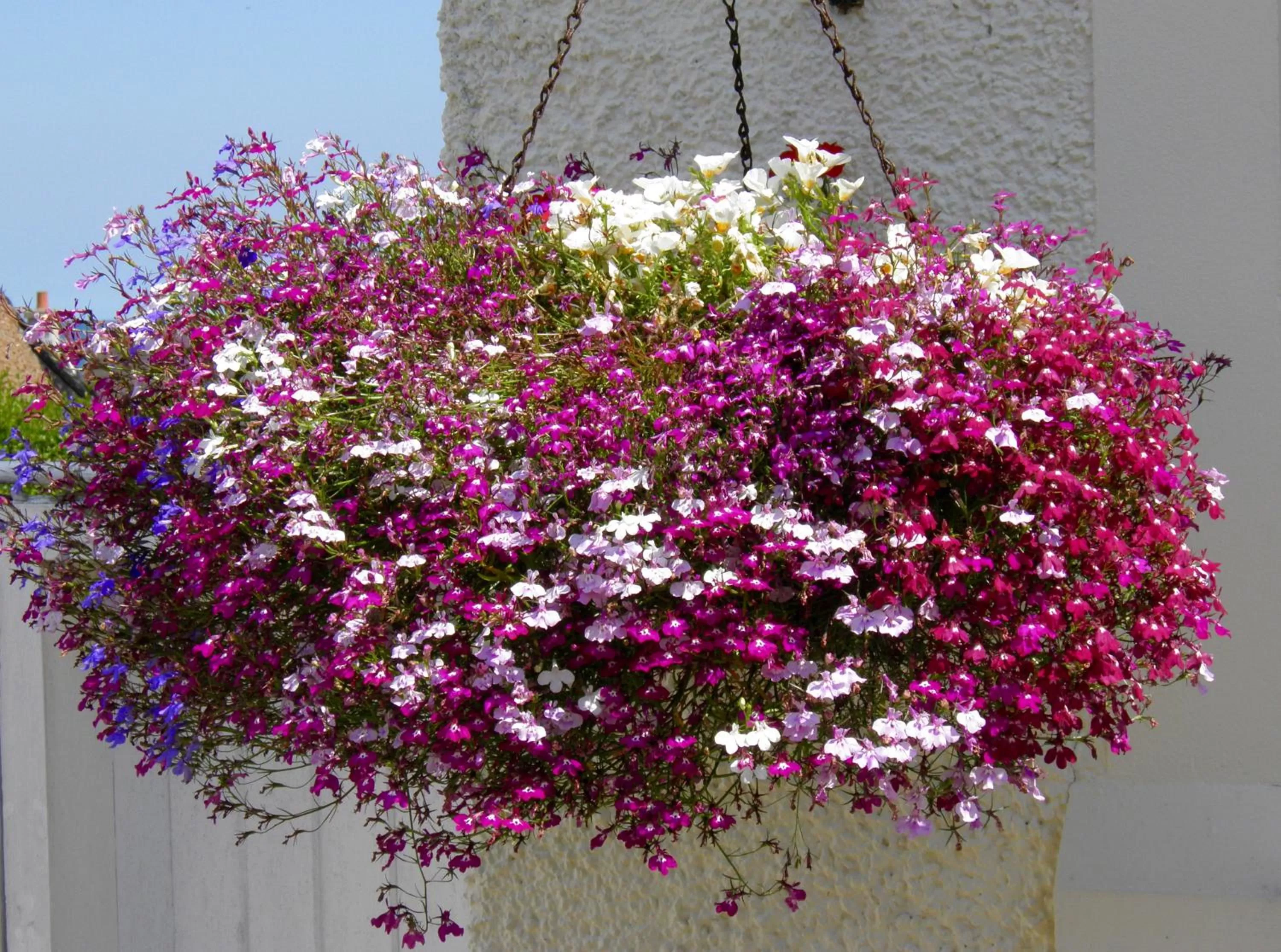 Facade/entrance in No12 Bed and Breakfast, St Andrews