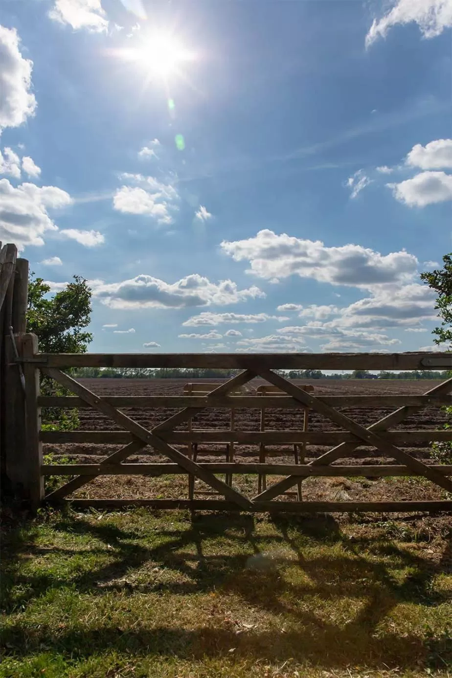 View (from property/room) in Bed and Breakfast Bedstay op 8