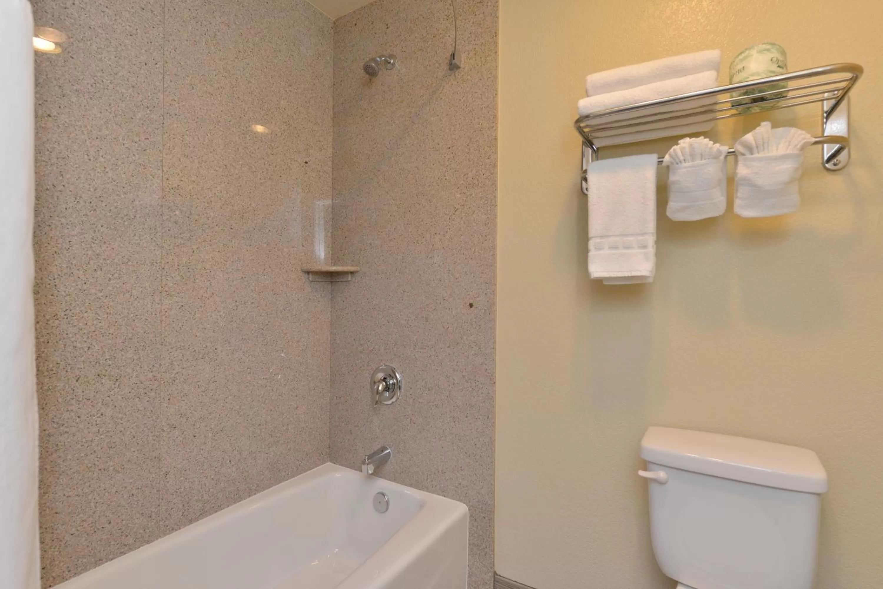 Bathroom in Avenue Inn Downtown District SLO