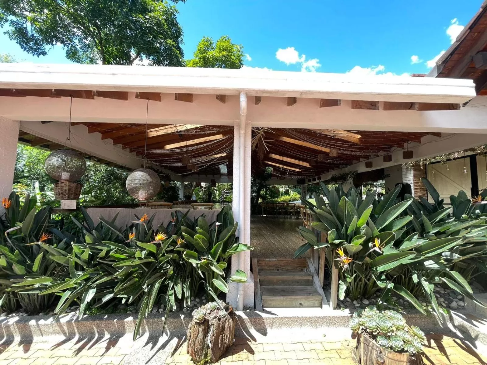 Garden in Hotel Casa Madero