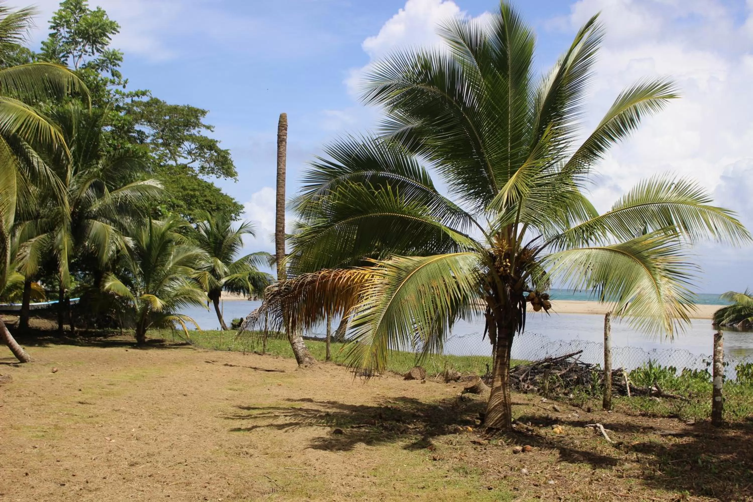 Garden view, Garden in Acajou Hotel