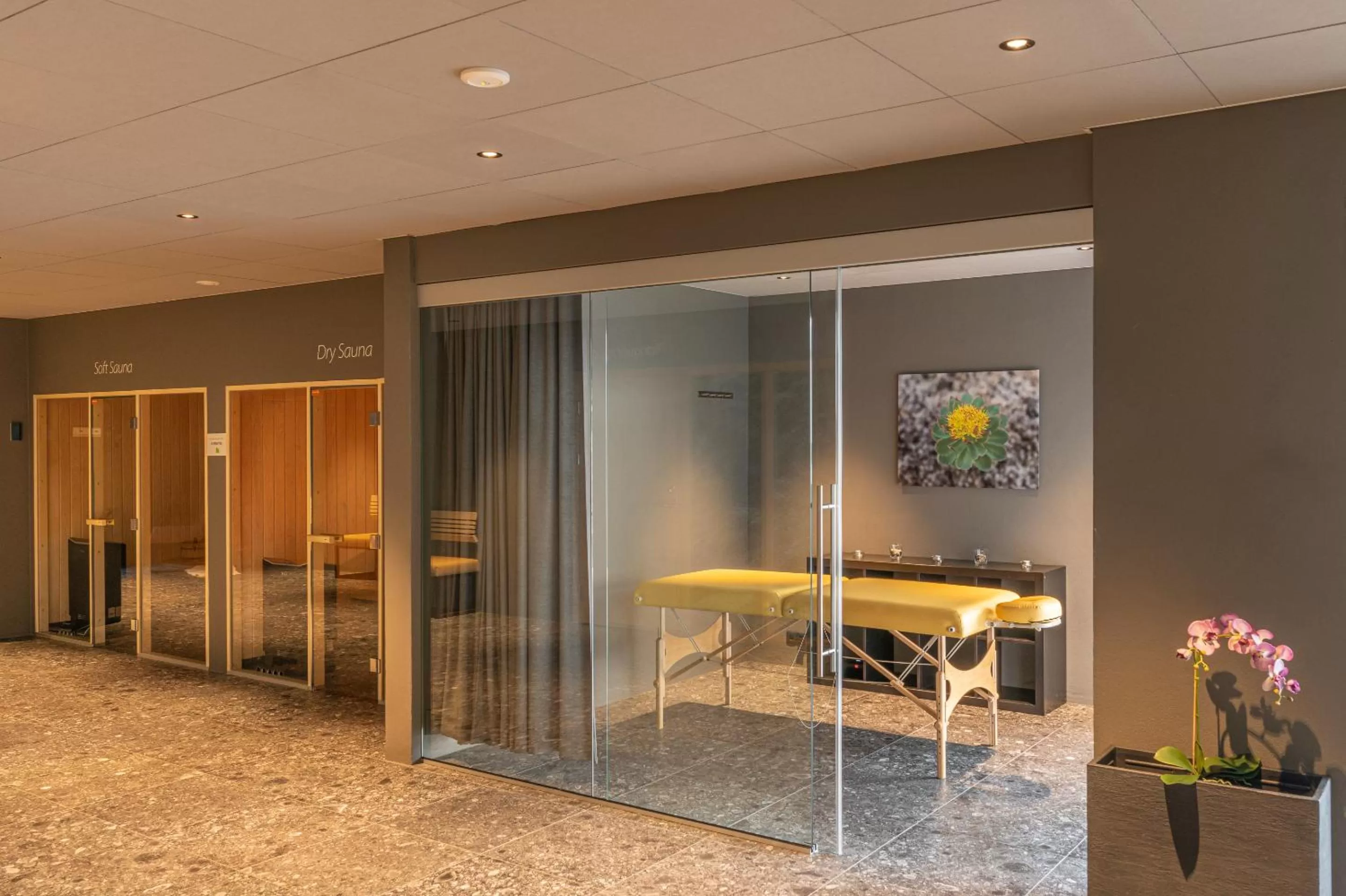 Activities in Northern Light Inn