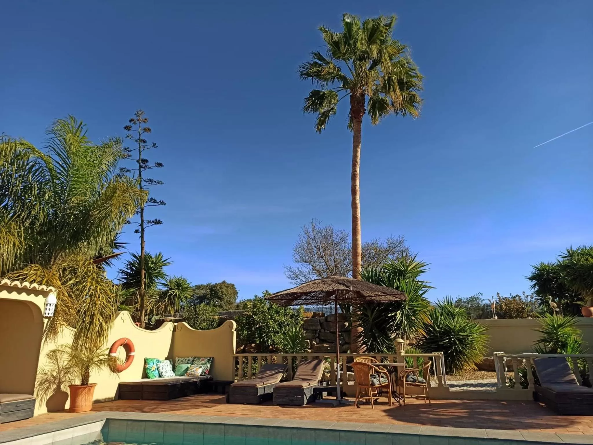 Swimming pool, Property Building in Quinta Pereiro Tropic Garden, Algarve