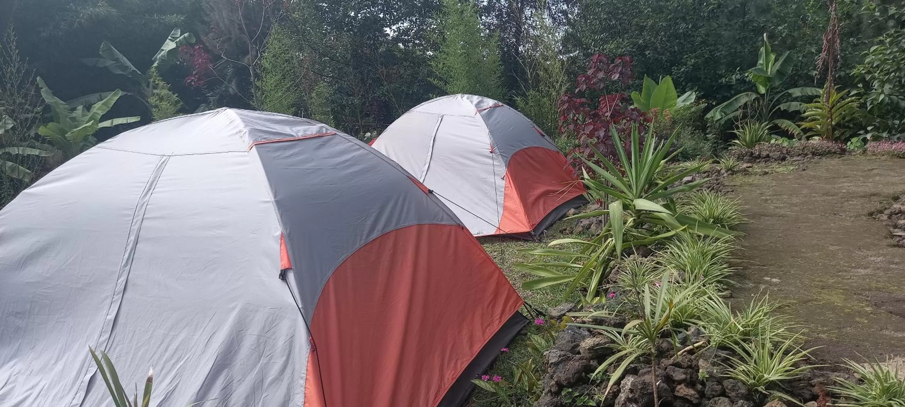 Day in Fravan Eco Resort By Apogee