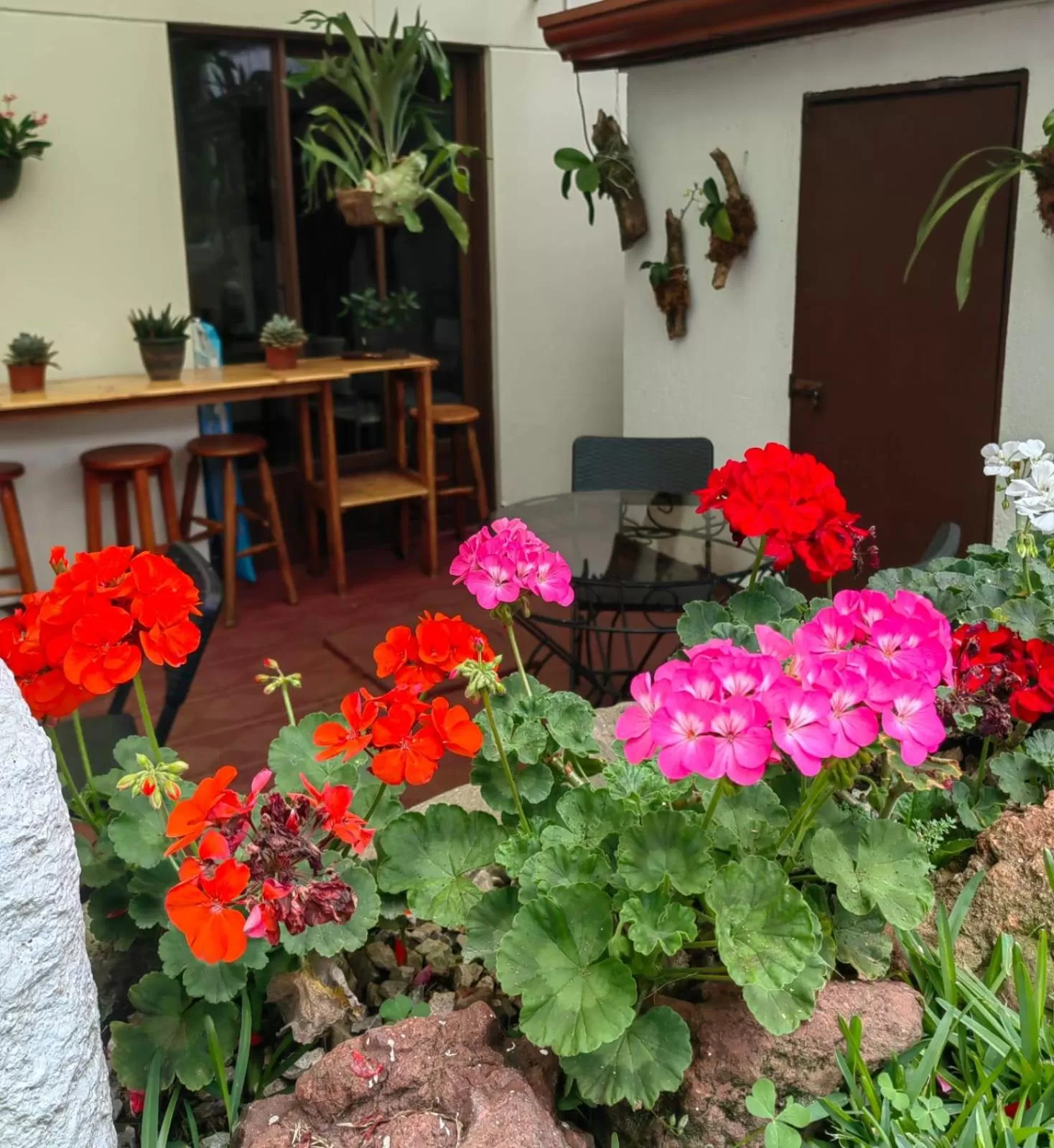 Property building in Hotel Casa Tago