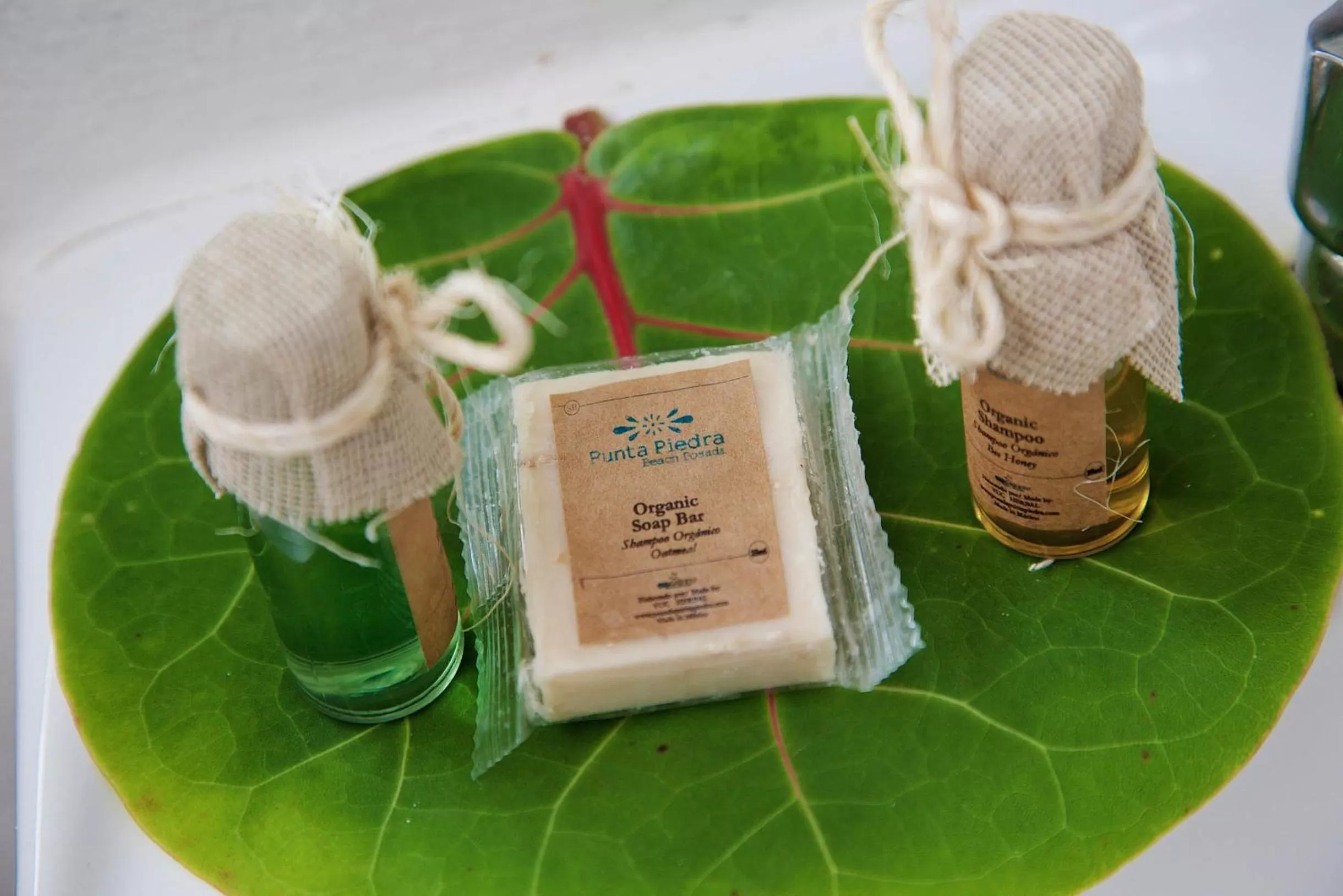 Decorative detail in Punta Piedra Beach Posada