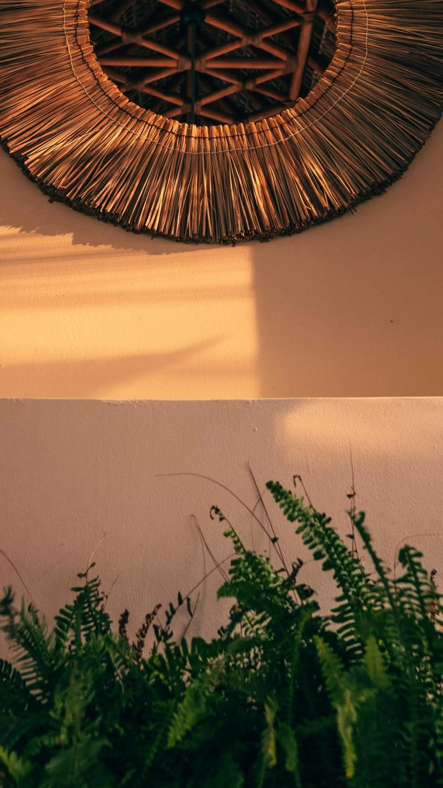 Property building in Casa Kuaa