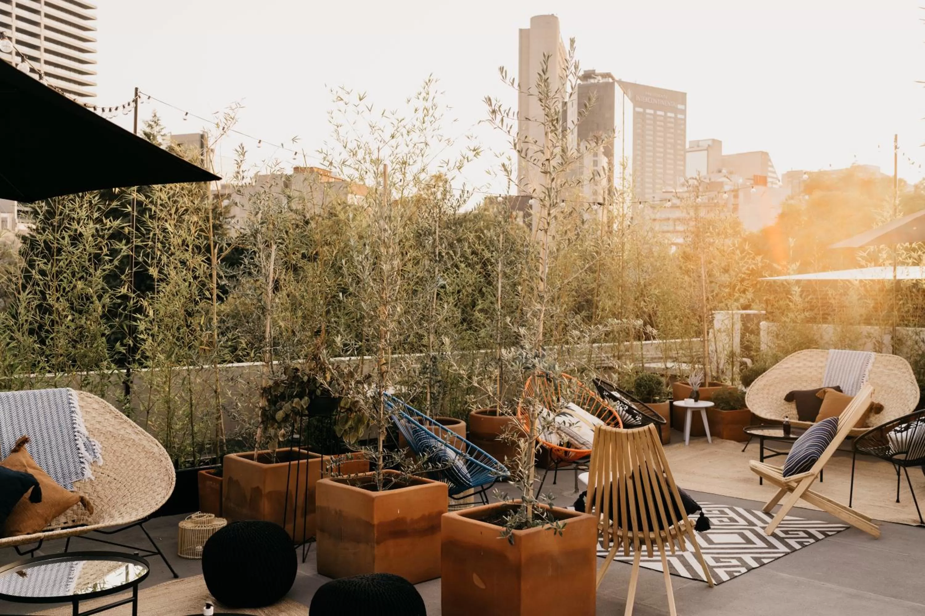 Property building in The Wild Oscar