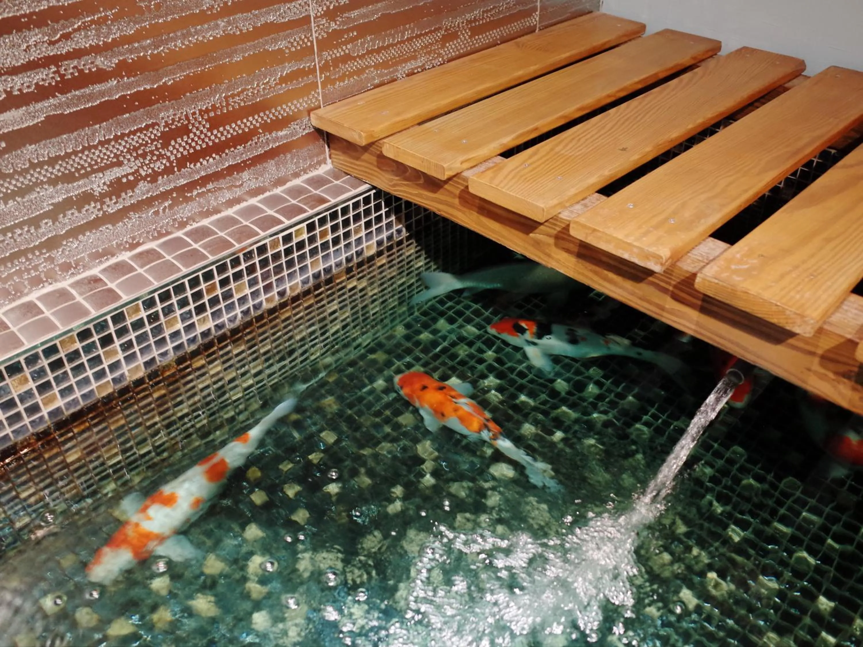 Garden in D'Well Hostel