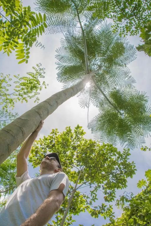 Garden in Hotel Vista del Cerro