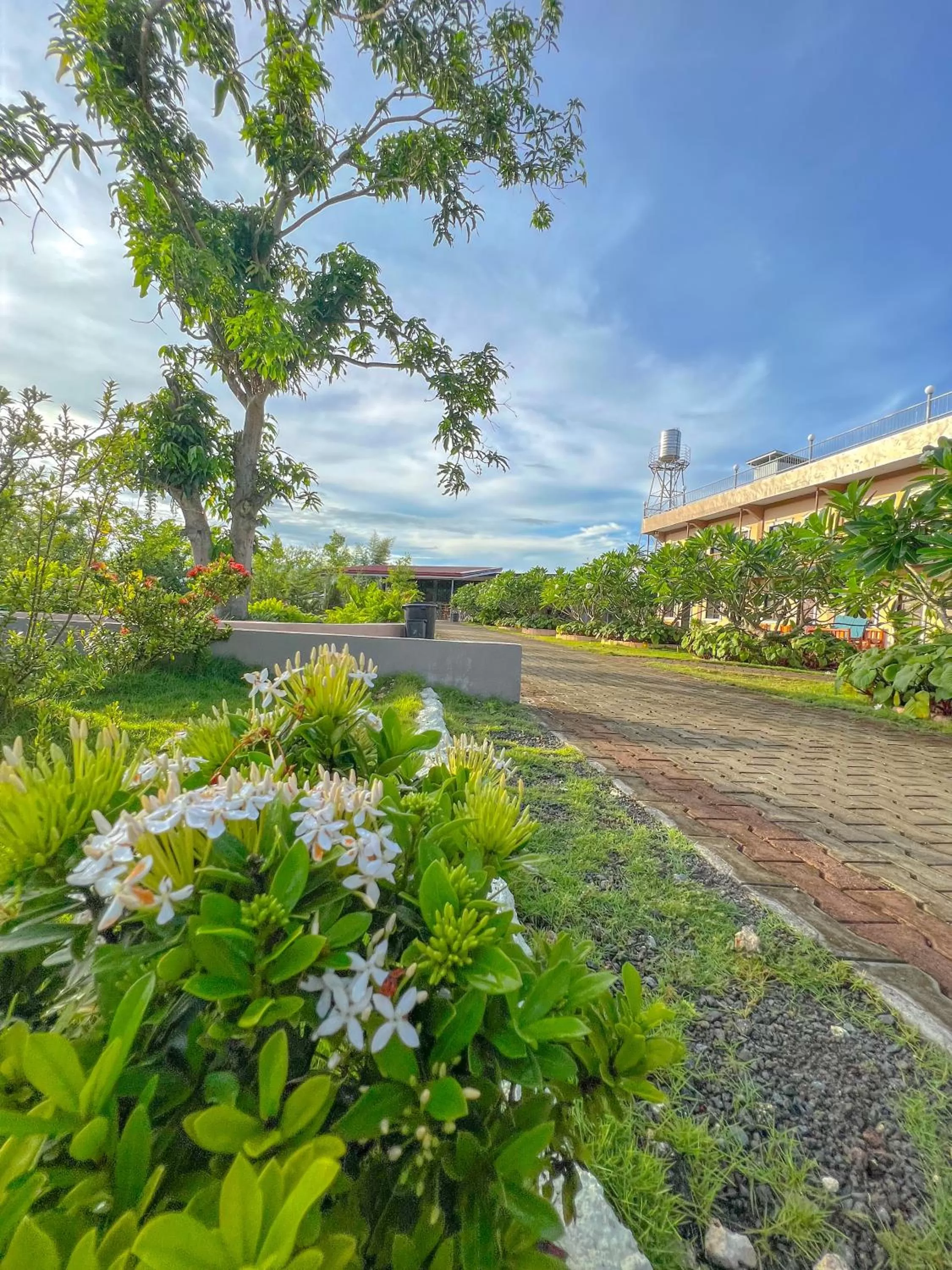 Garden in La Plumerias