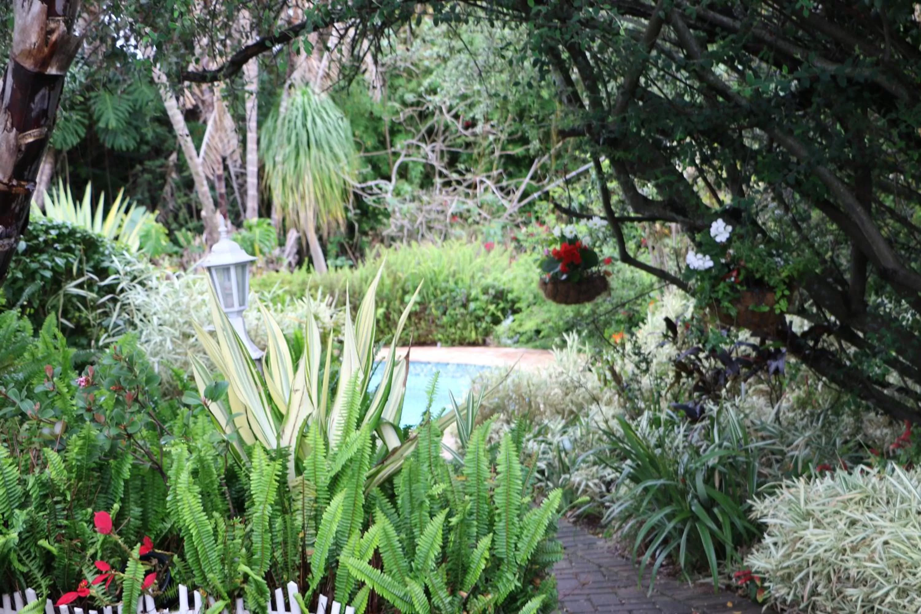 Garden in Forword's River Lodge