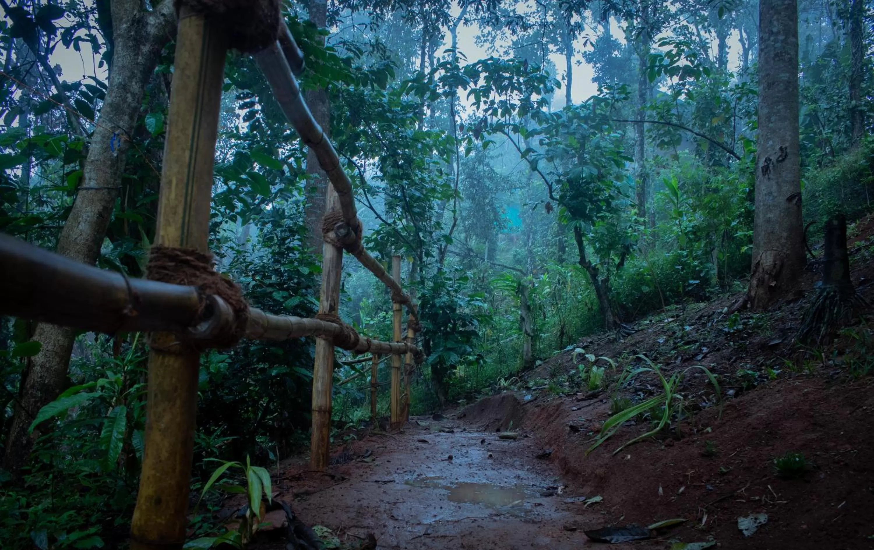 Natural landscape in Edens Munnar