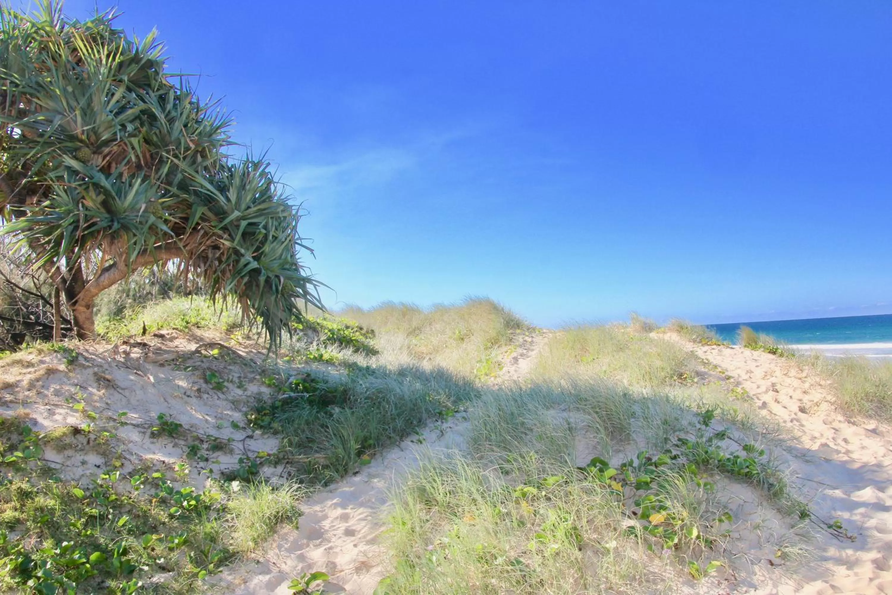 Beach, Natural Landscape in Hideaway Noosa Men Only Beach Resort