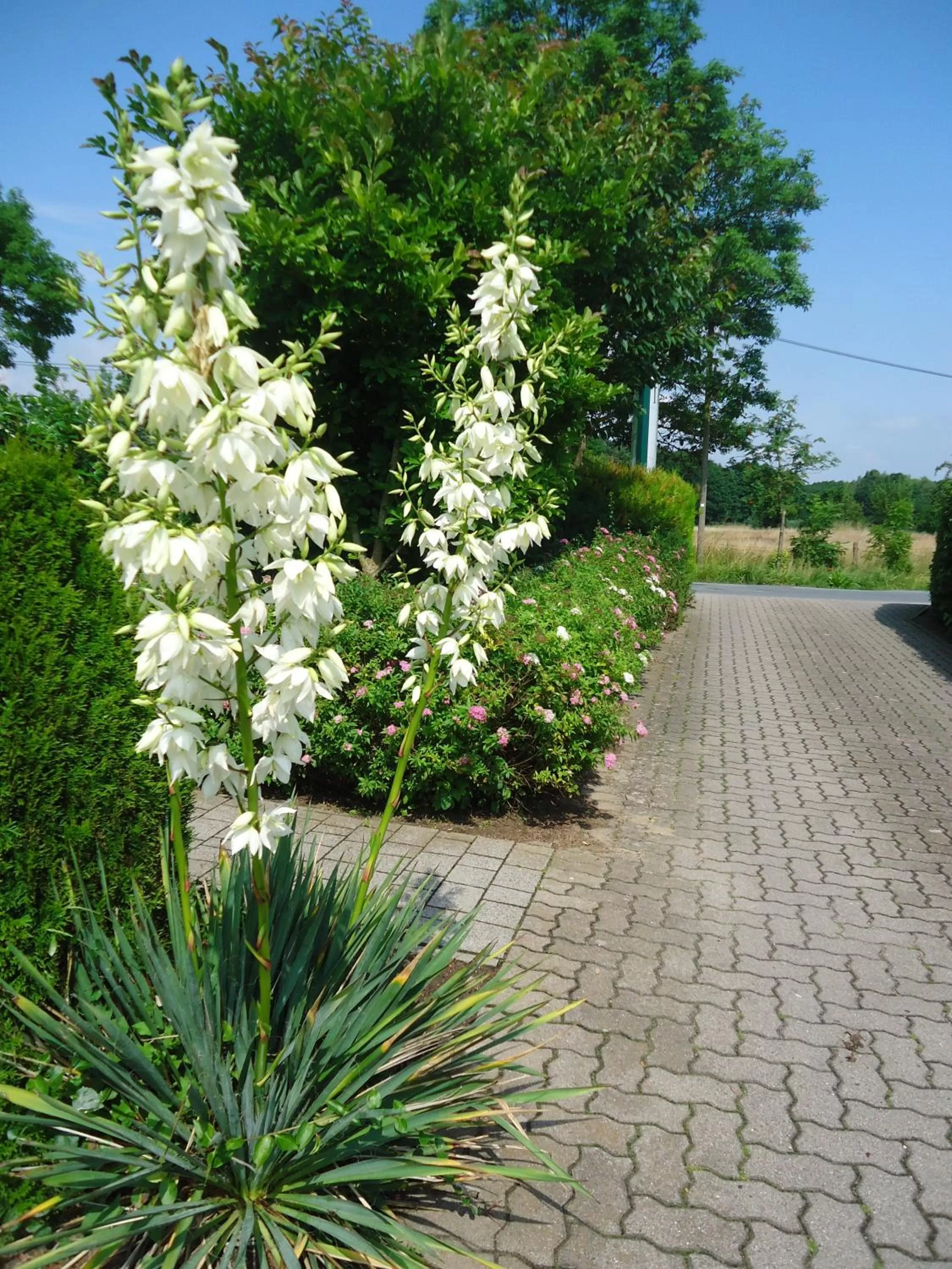 Other in Das FRITZ Hotel