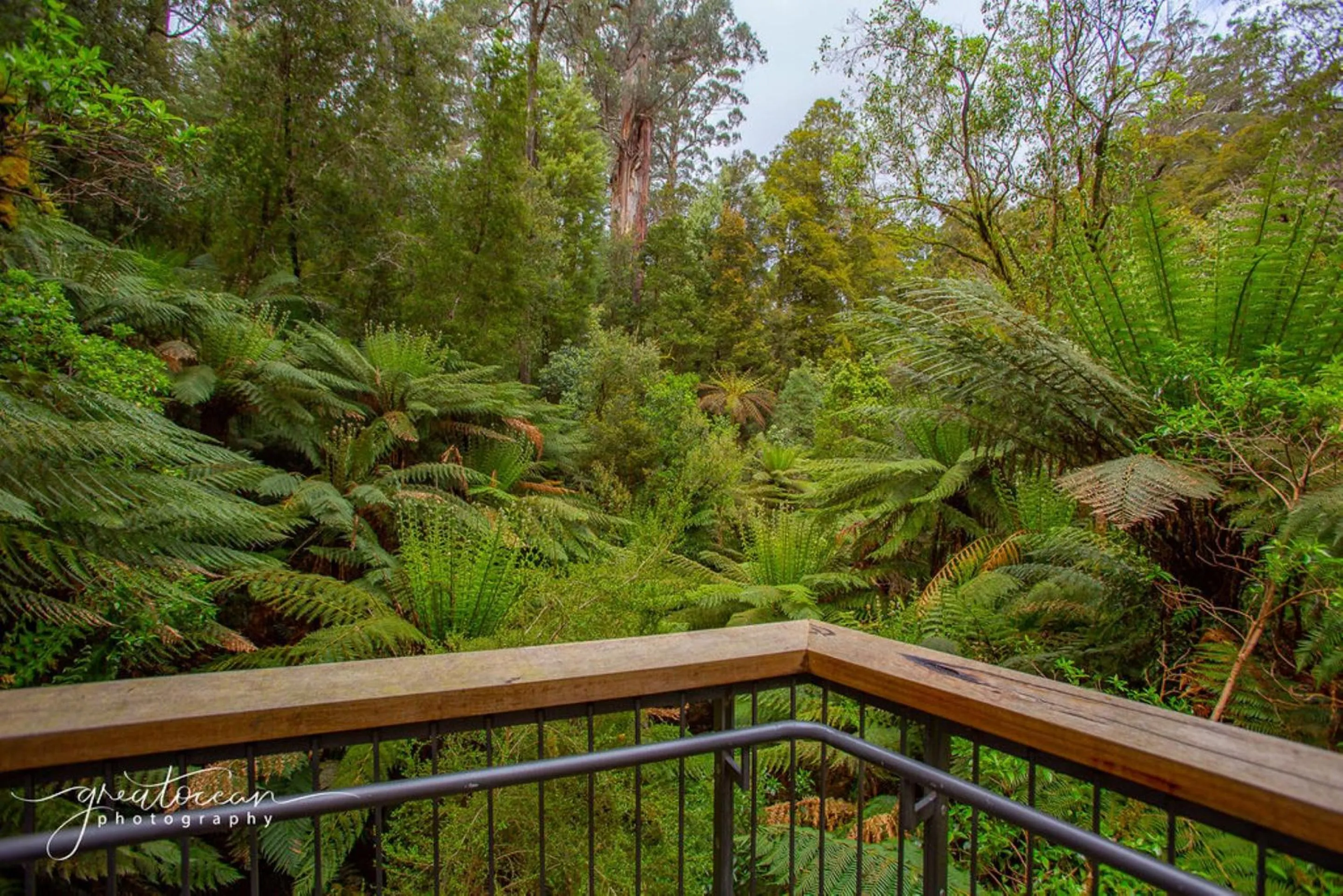 Other, Balcony/Terrace in Best Western Apollo Bay Motel