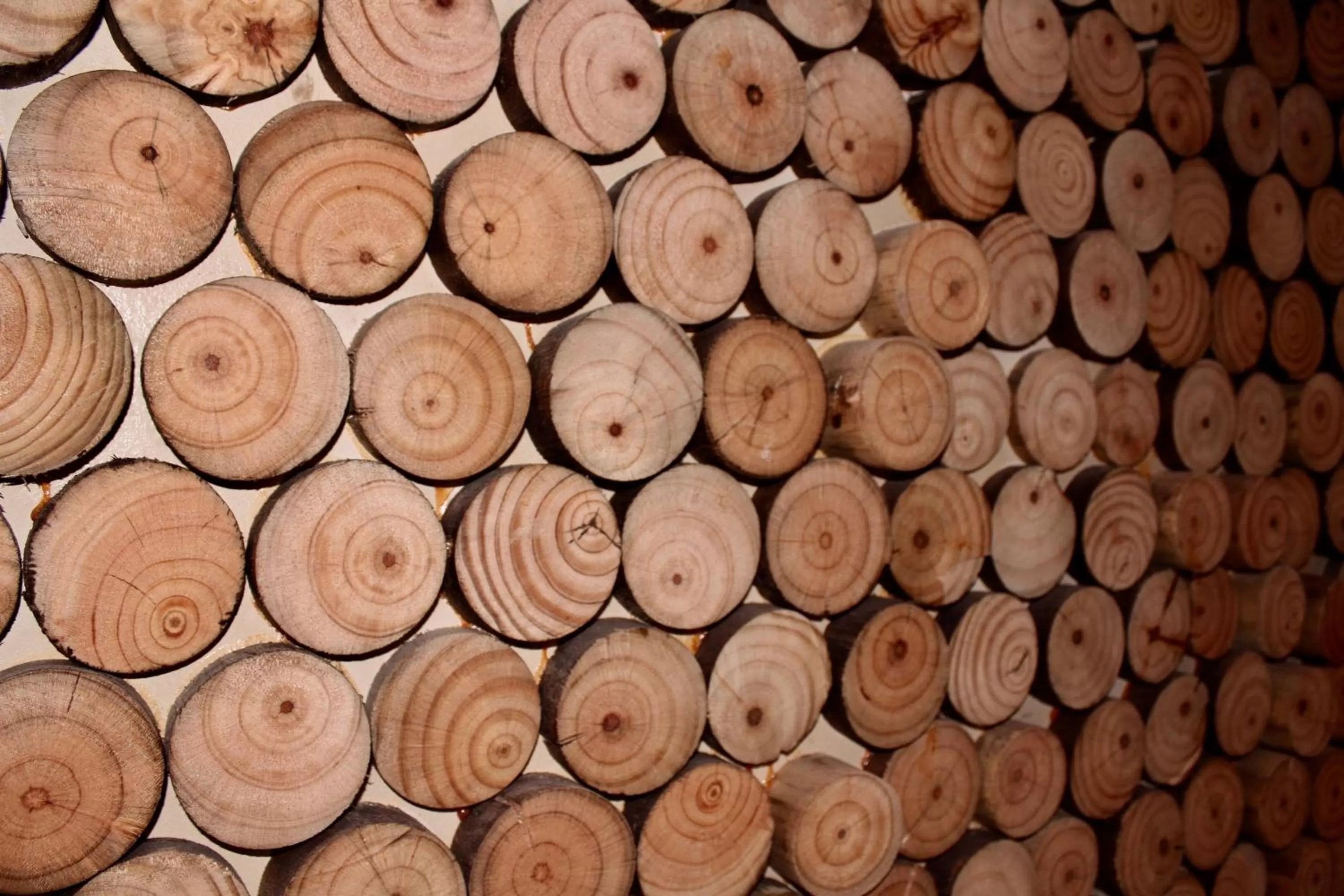 Hotel Manada del Desierto