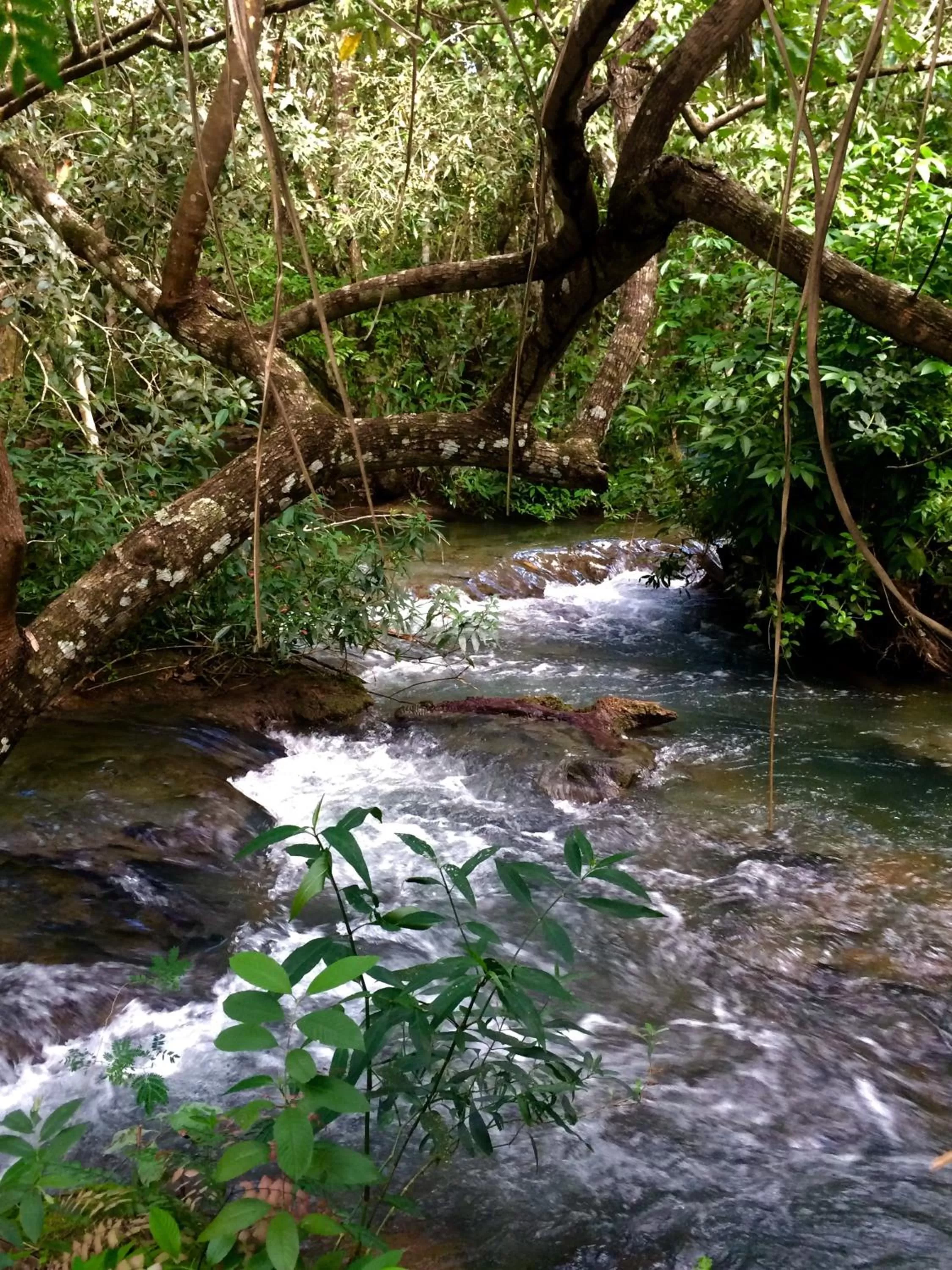 Natural landscape in Hotel Santa Esmeralda