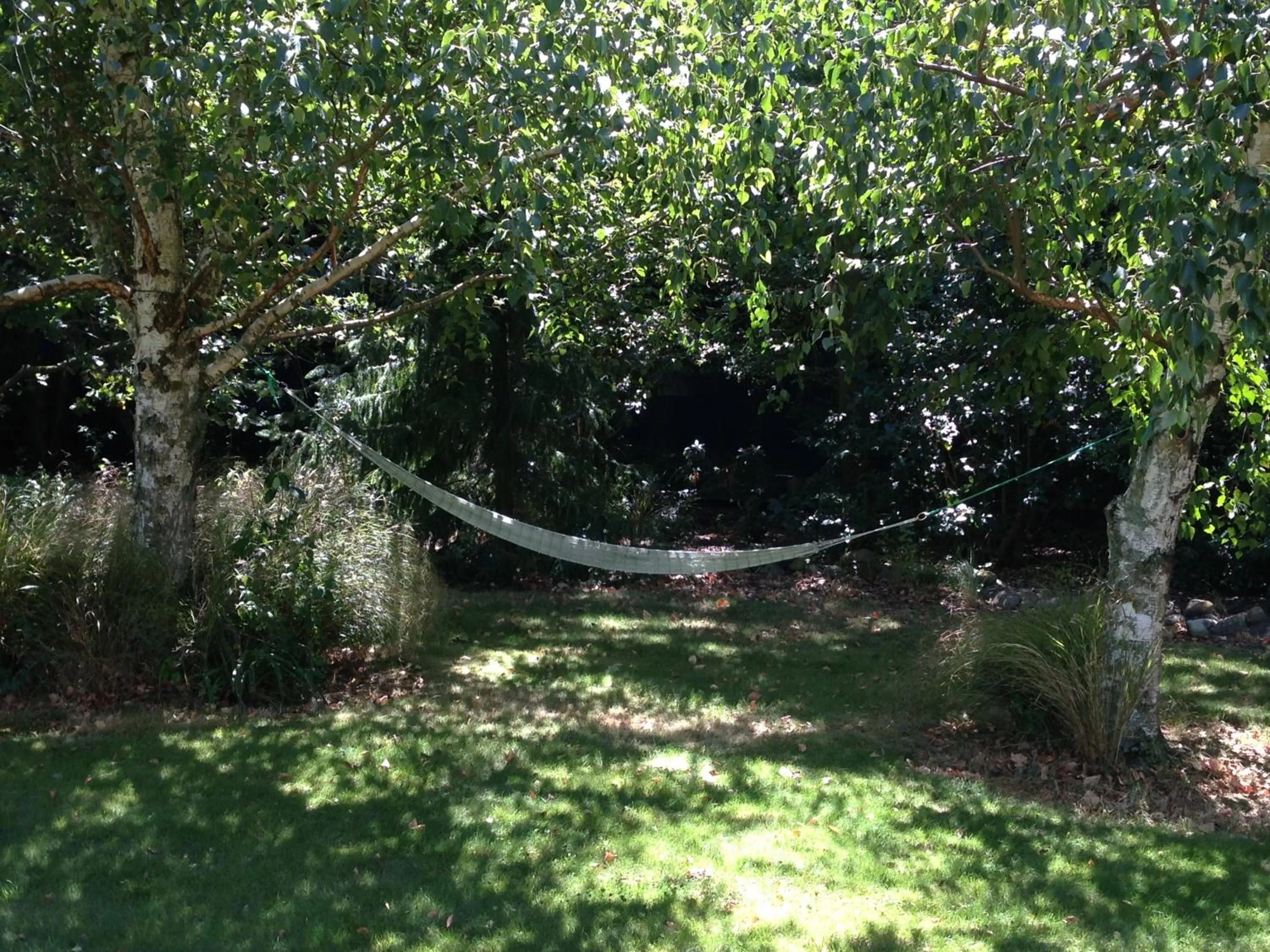 Garden in Newlands Bed and Breakfast