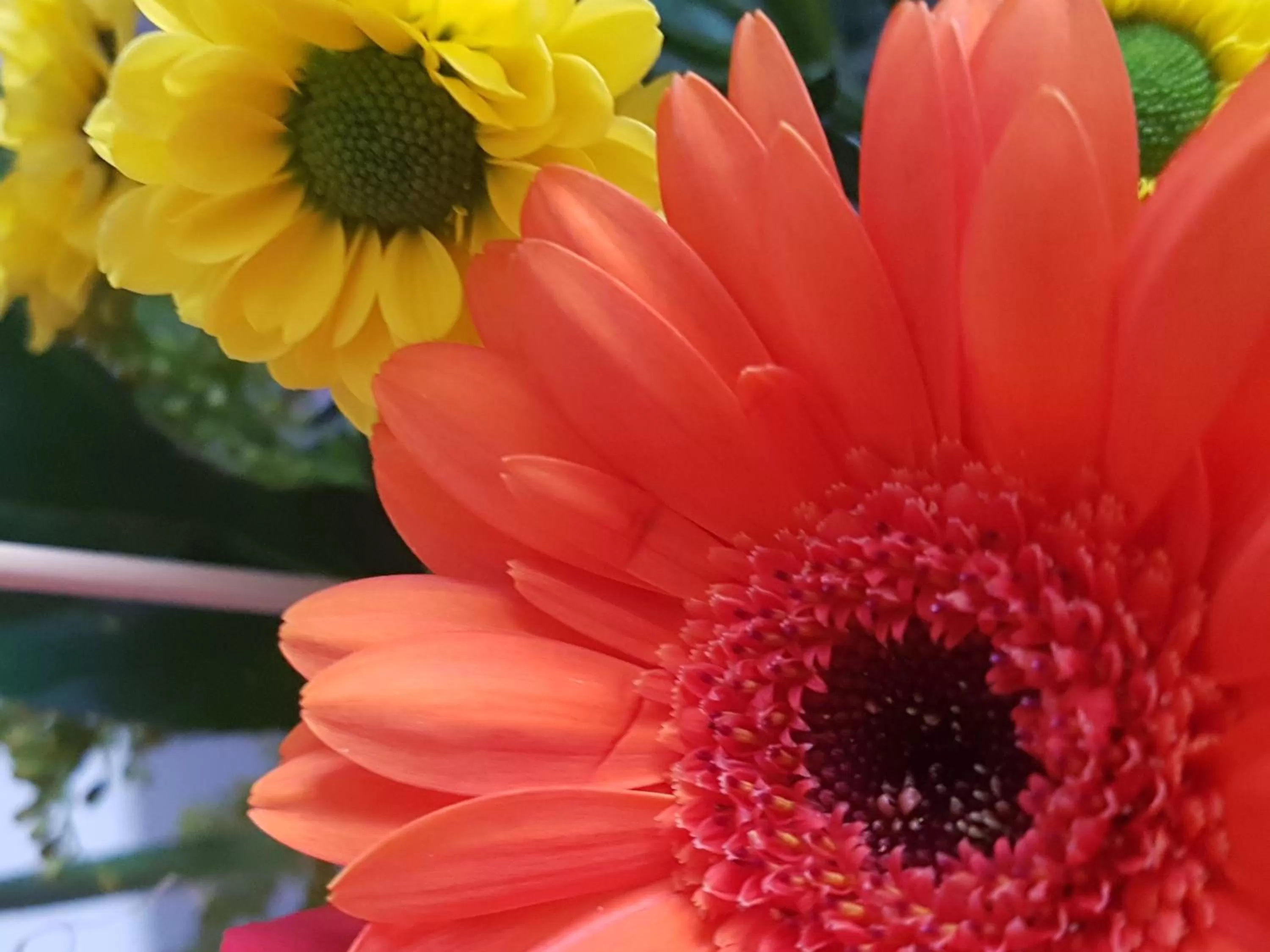 On site in Kurhotel Anders