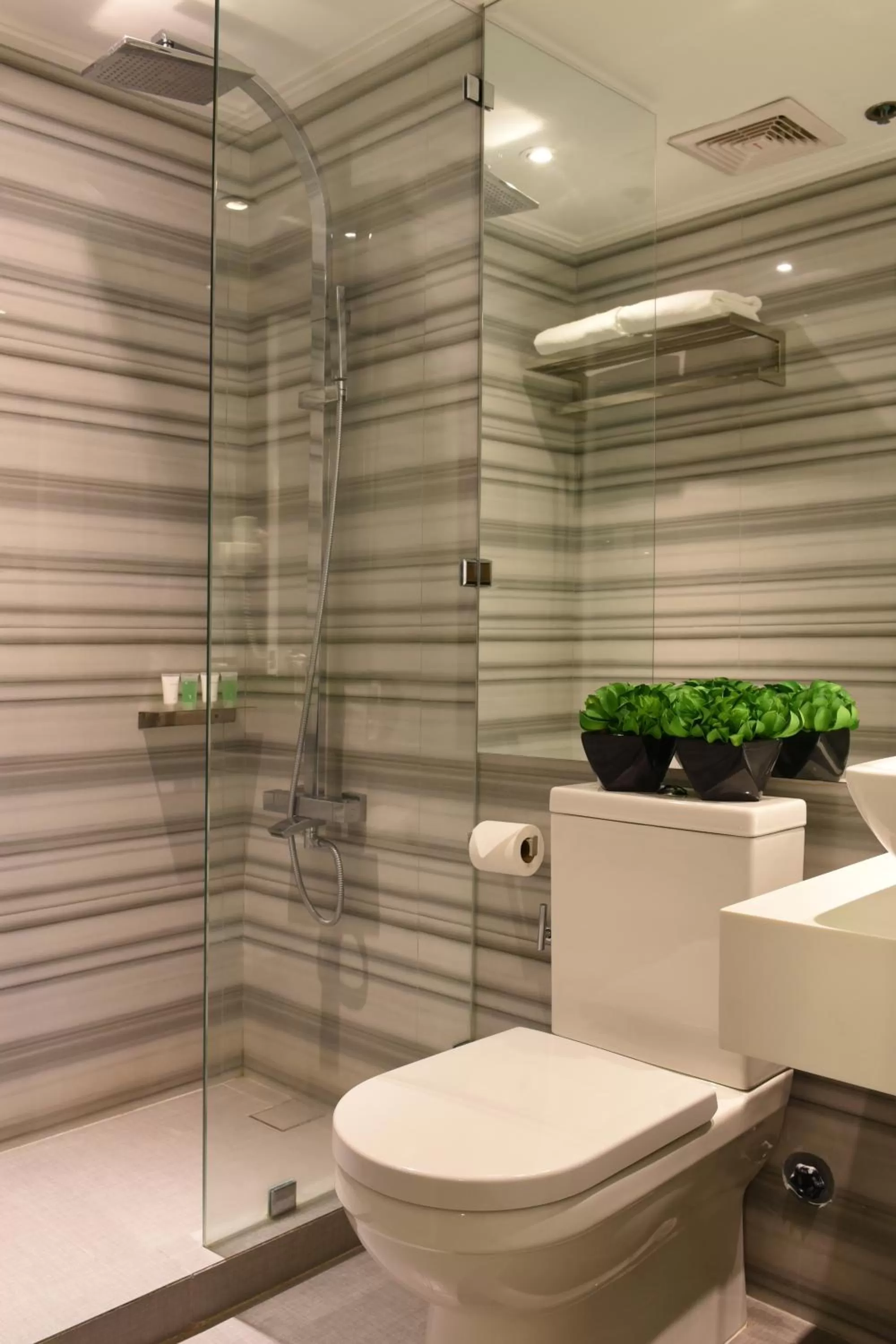 Shower in Astoria Plaza