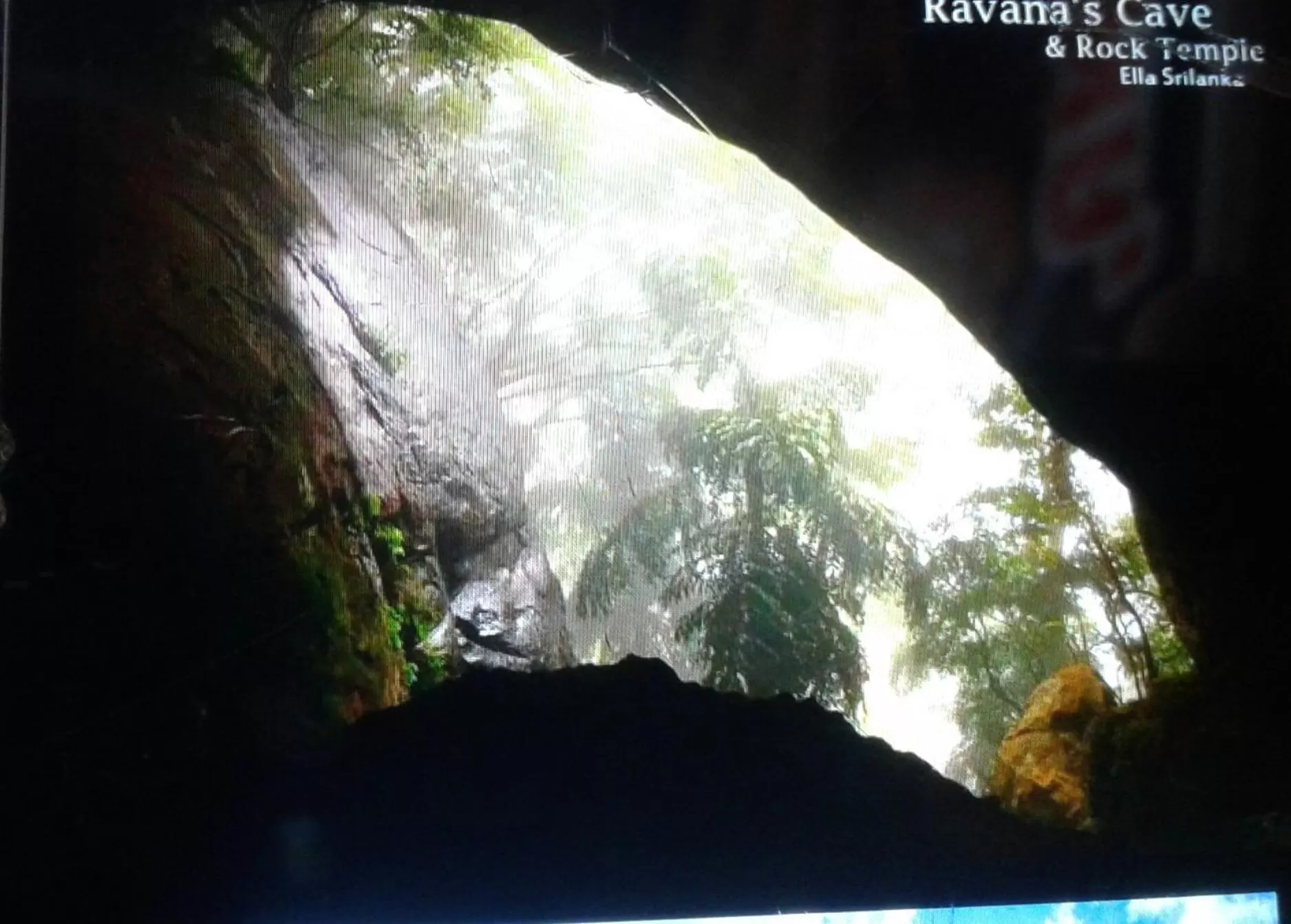 Ella Lucky Panoramic