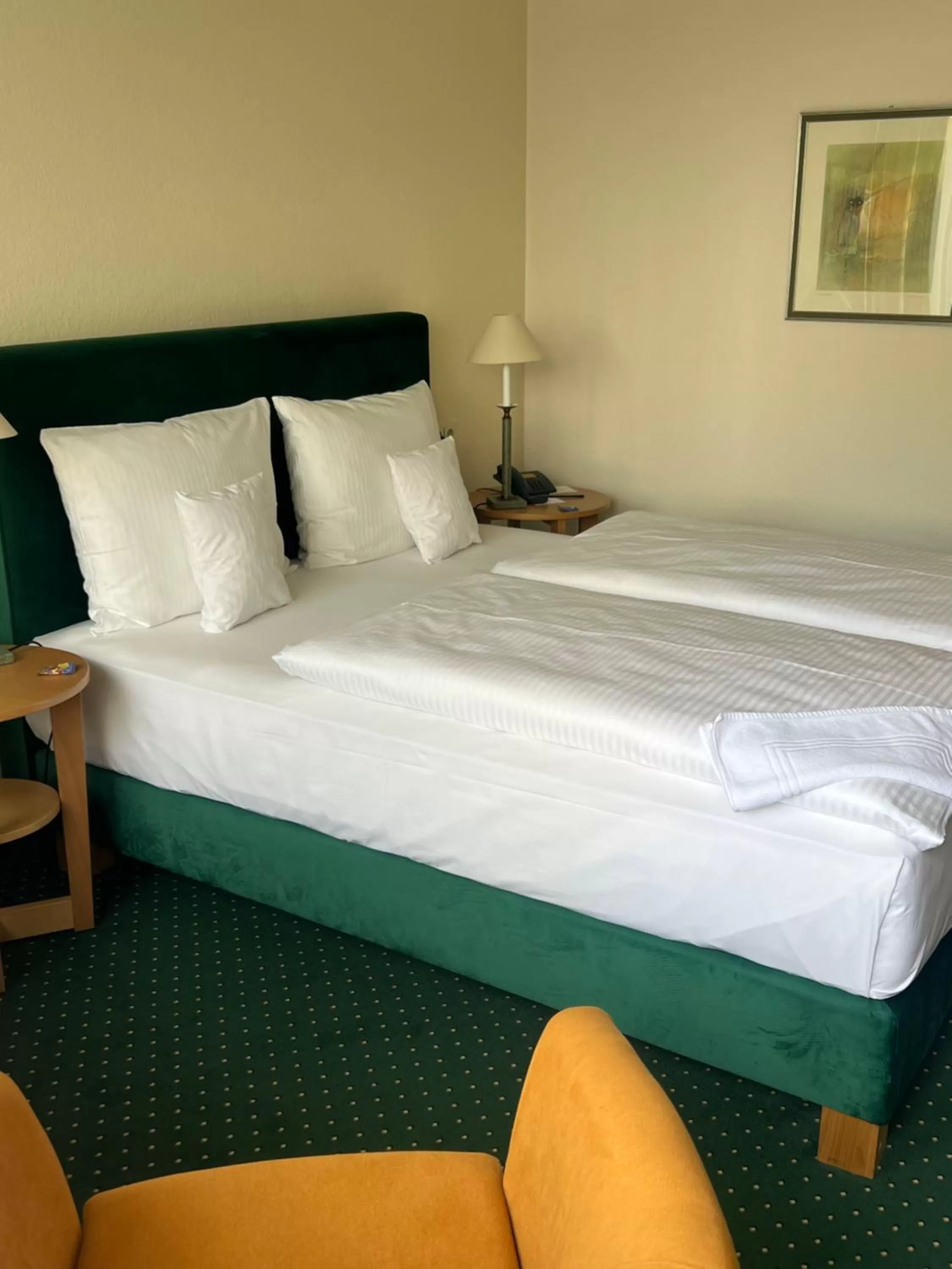 TV and multimedia, Bed in Parkhotel Hammerberg