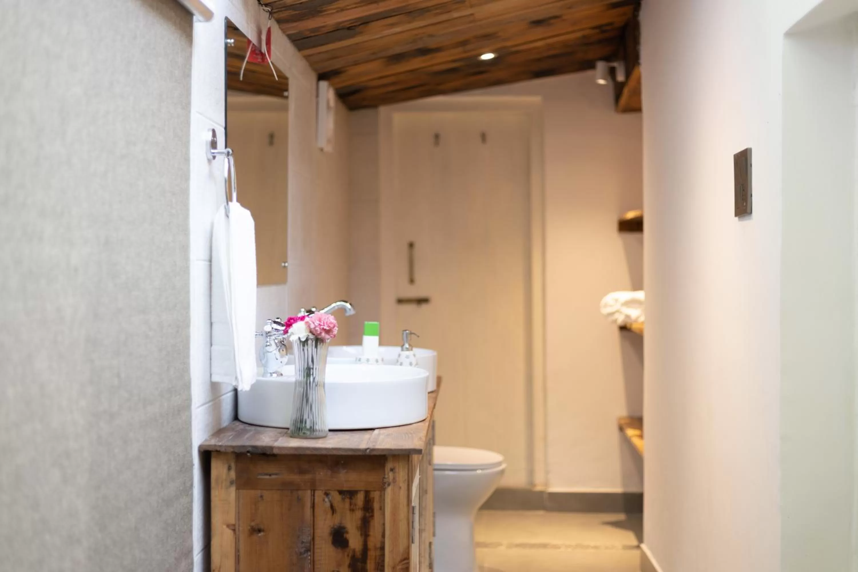 Bathroom in Seclude Shimla, Taraview