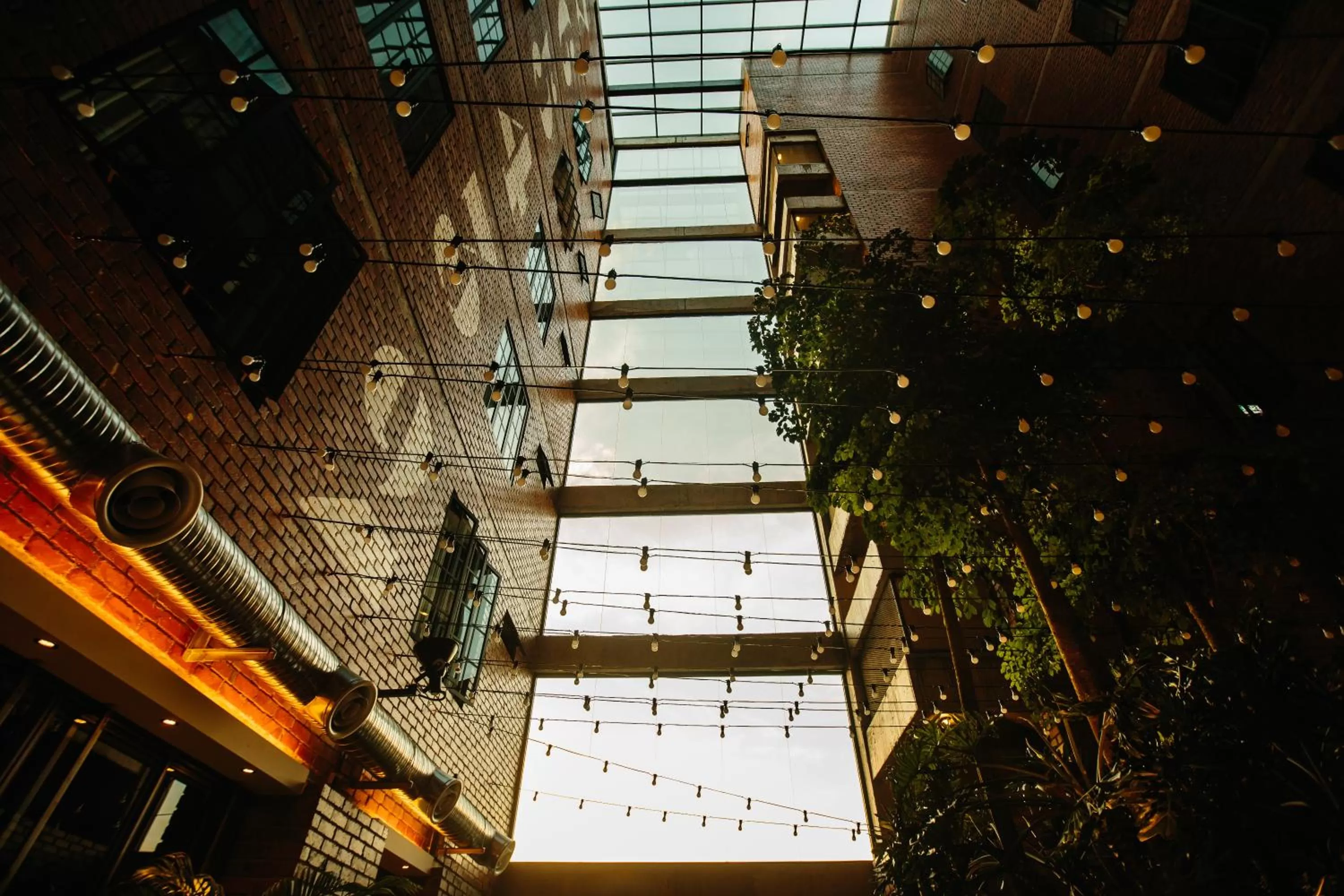 Garden in Rosa Malacca