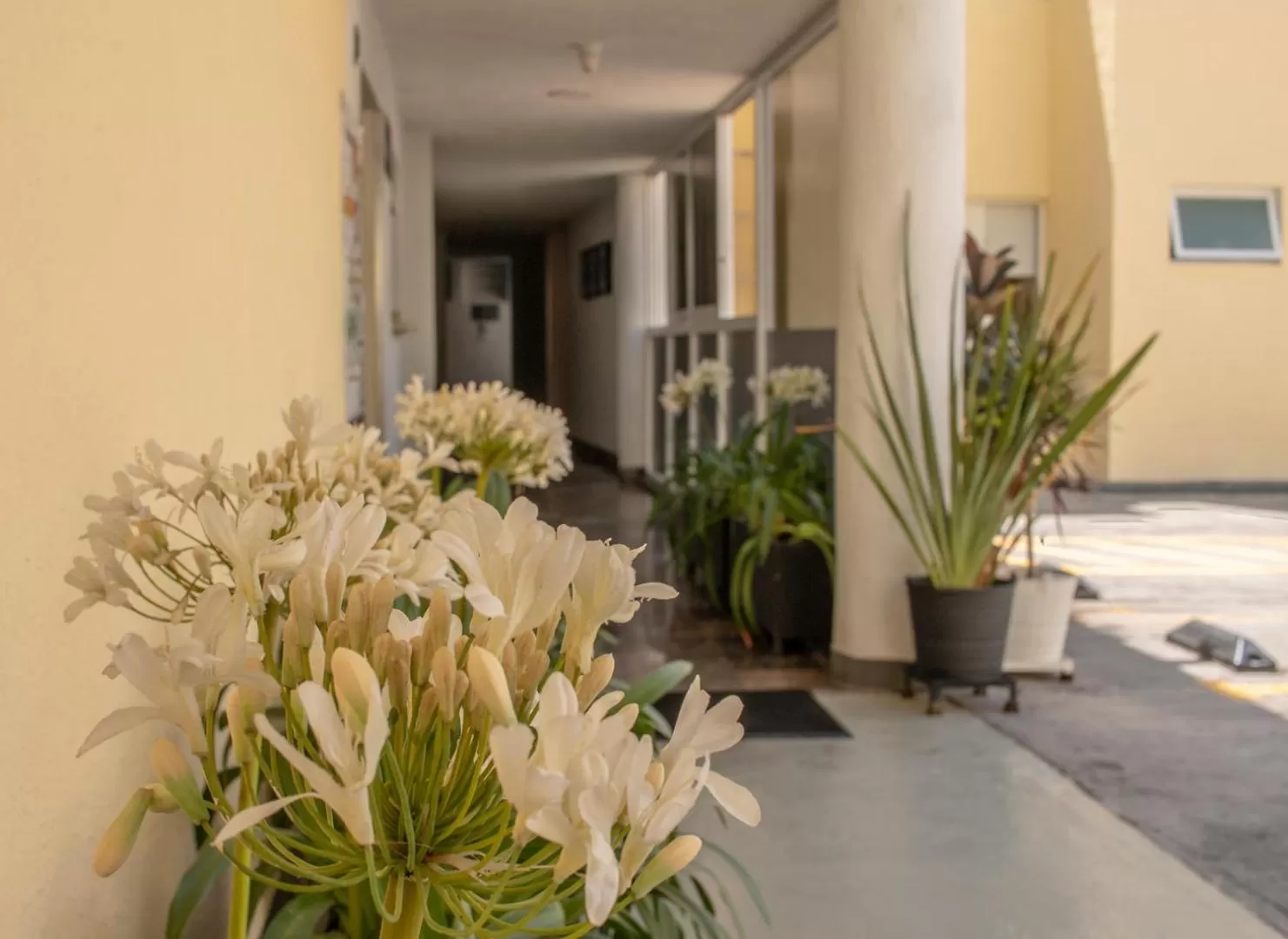 Lobby or reception in Hotel Emperador centro Guadalajara y Remodelado
