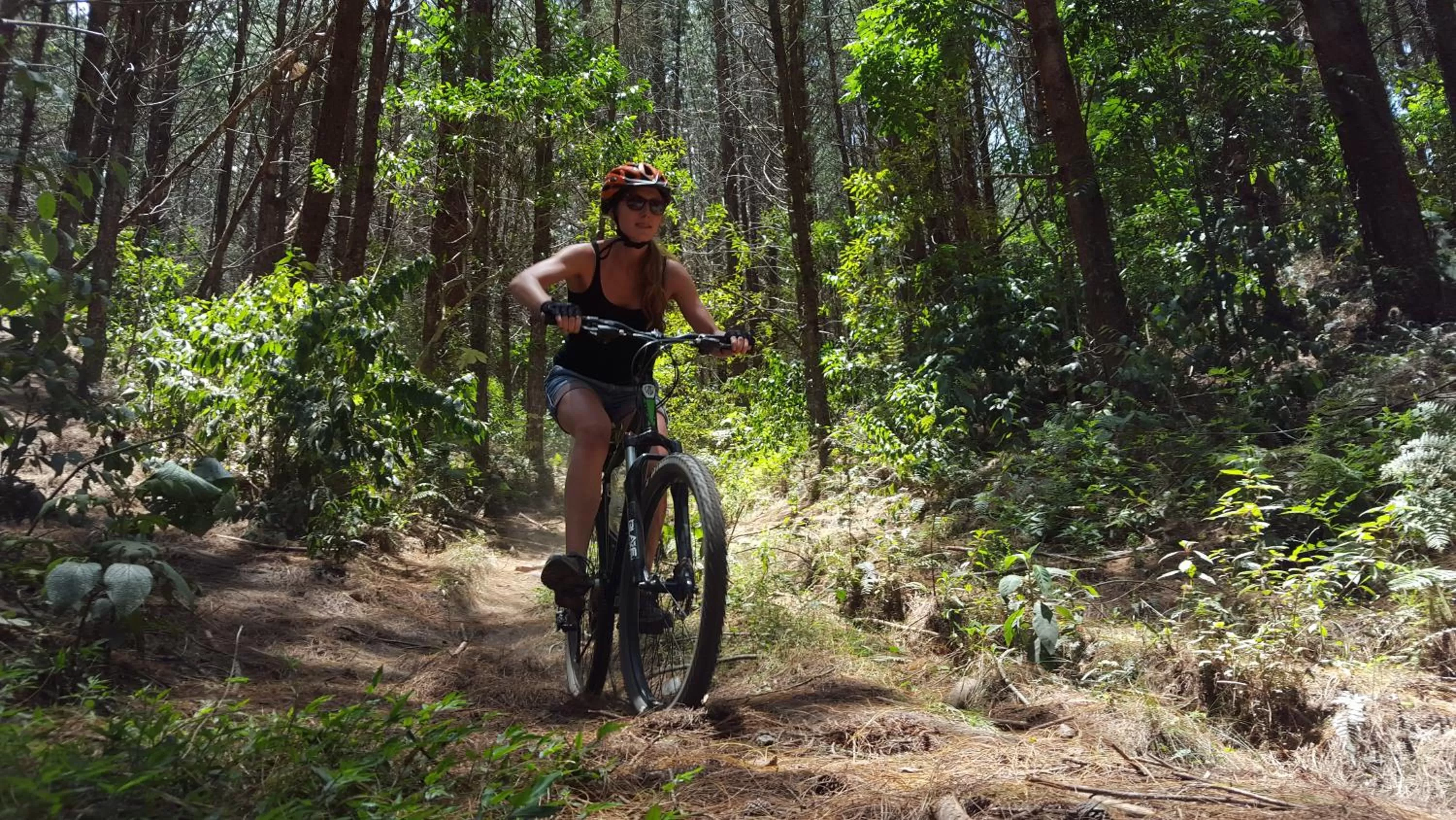 Cycling in Beta Hotel