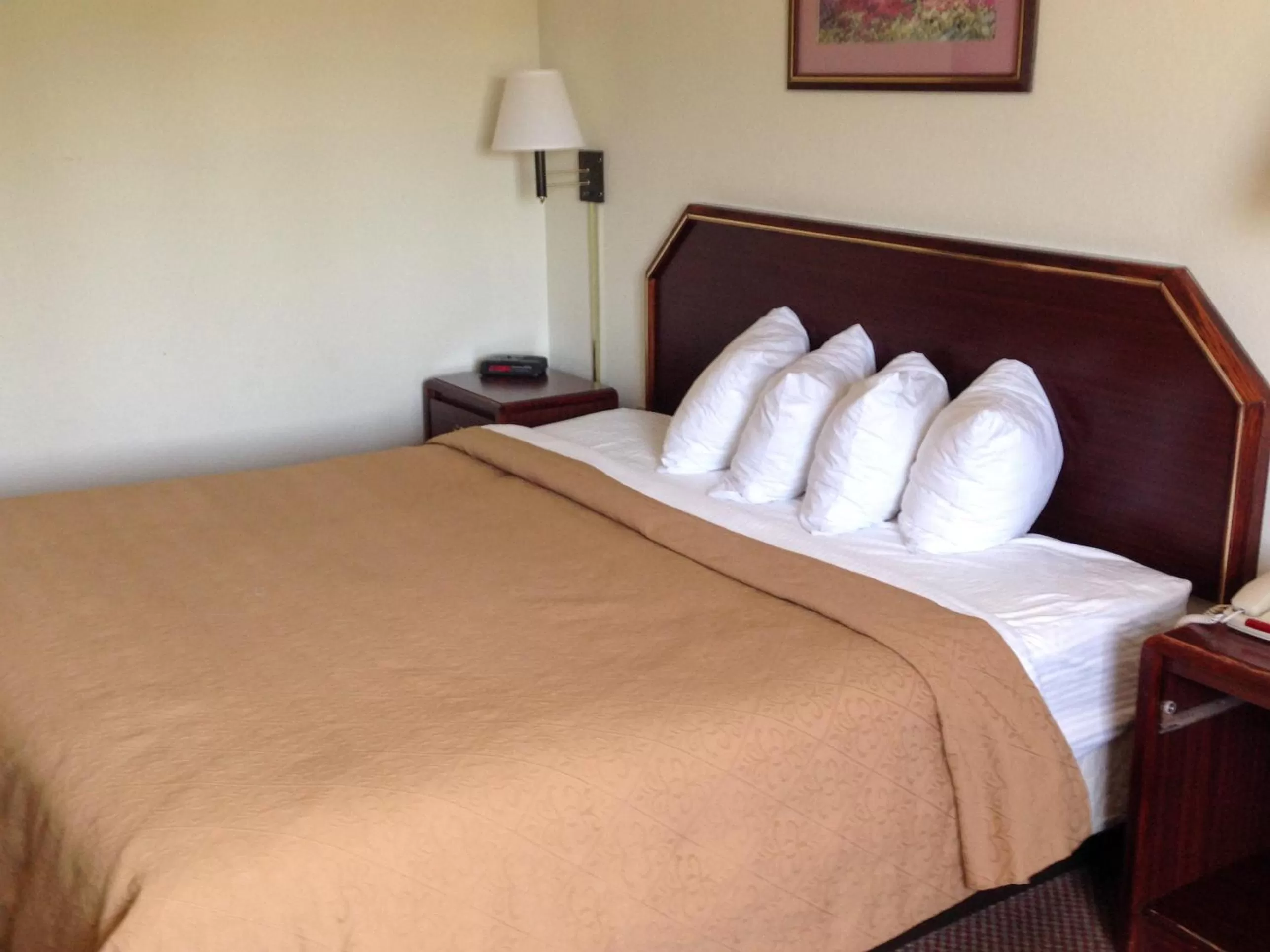 Bedroom, Bed in Motel 6-Indianapolis, IN - Southport