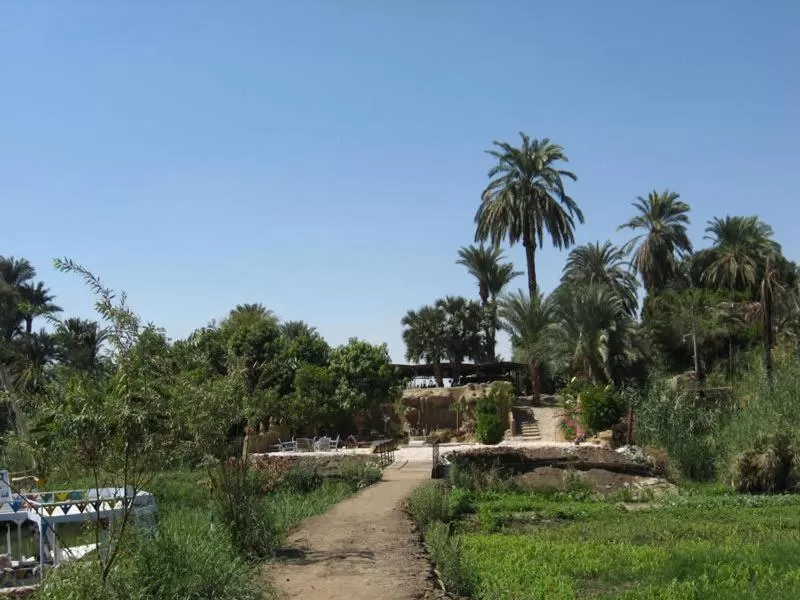 Garden in Al Baeirat Hotel