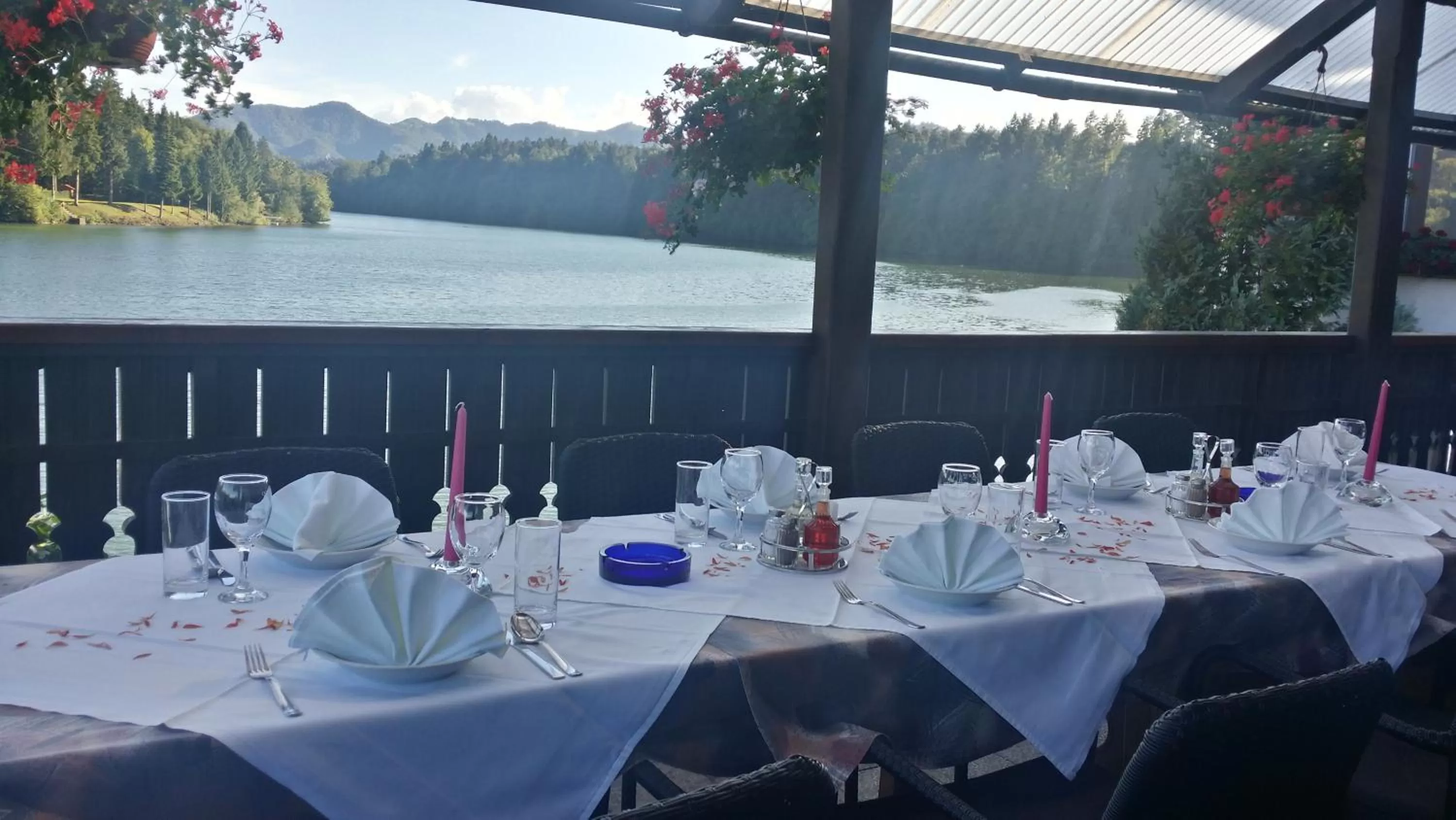 Garden, Restaurant/Places to Eat in Gostisce Jezero