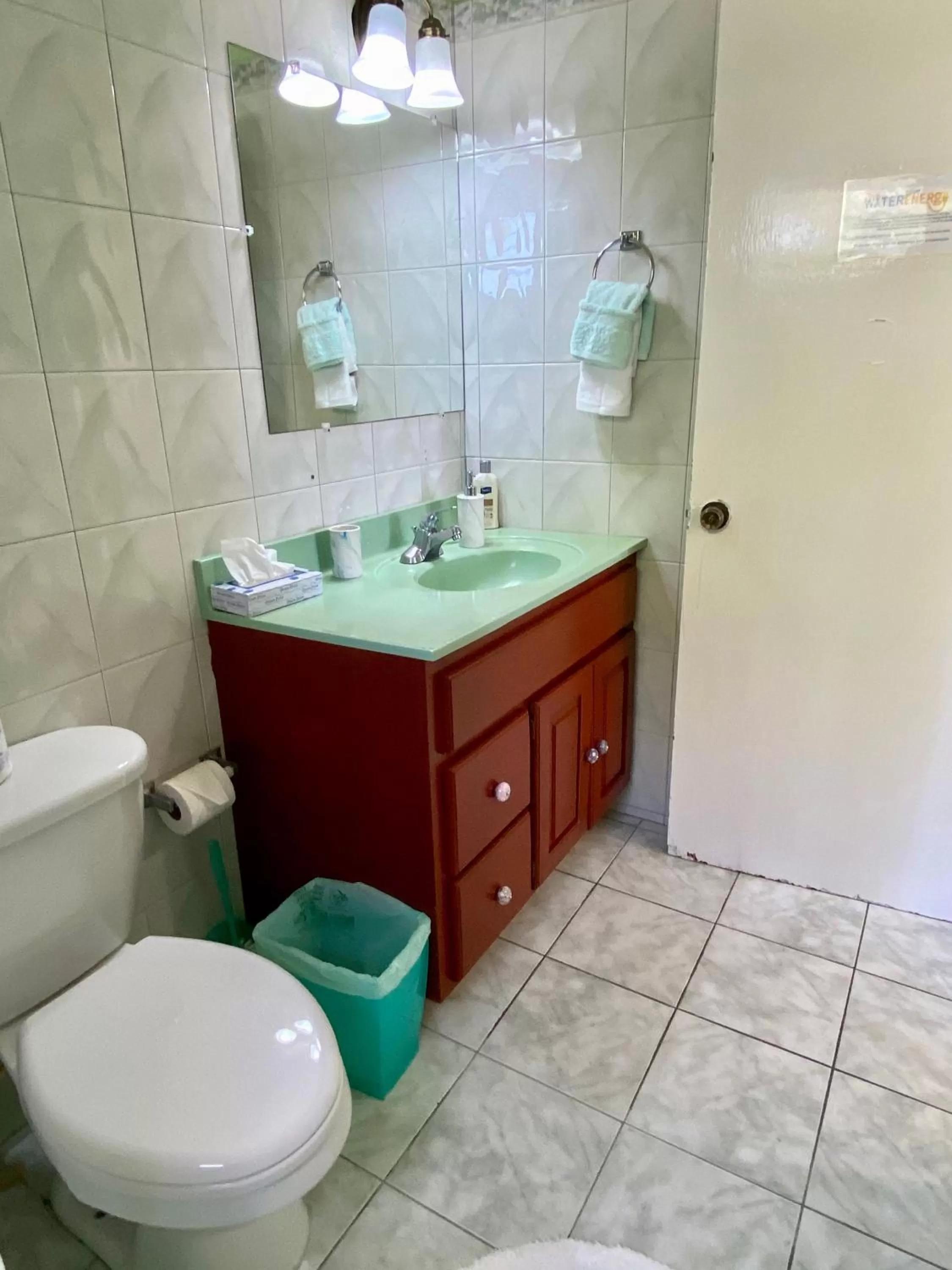 Bathroom in The Blue Orchid B&B