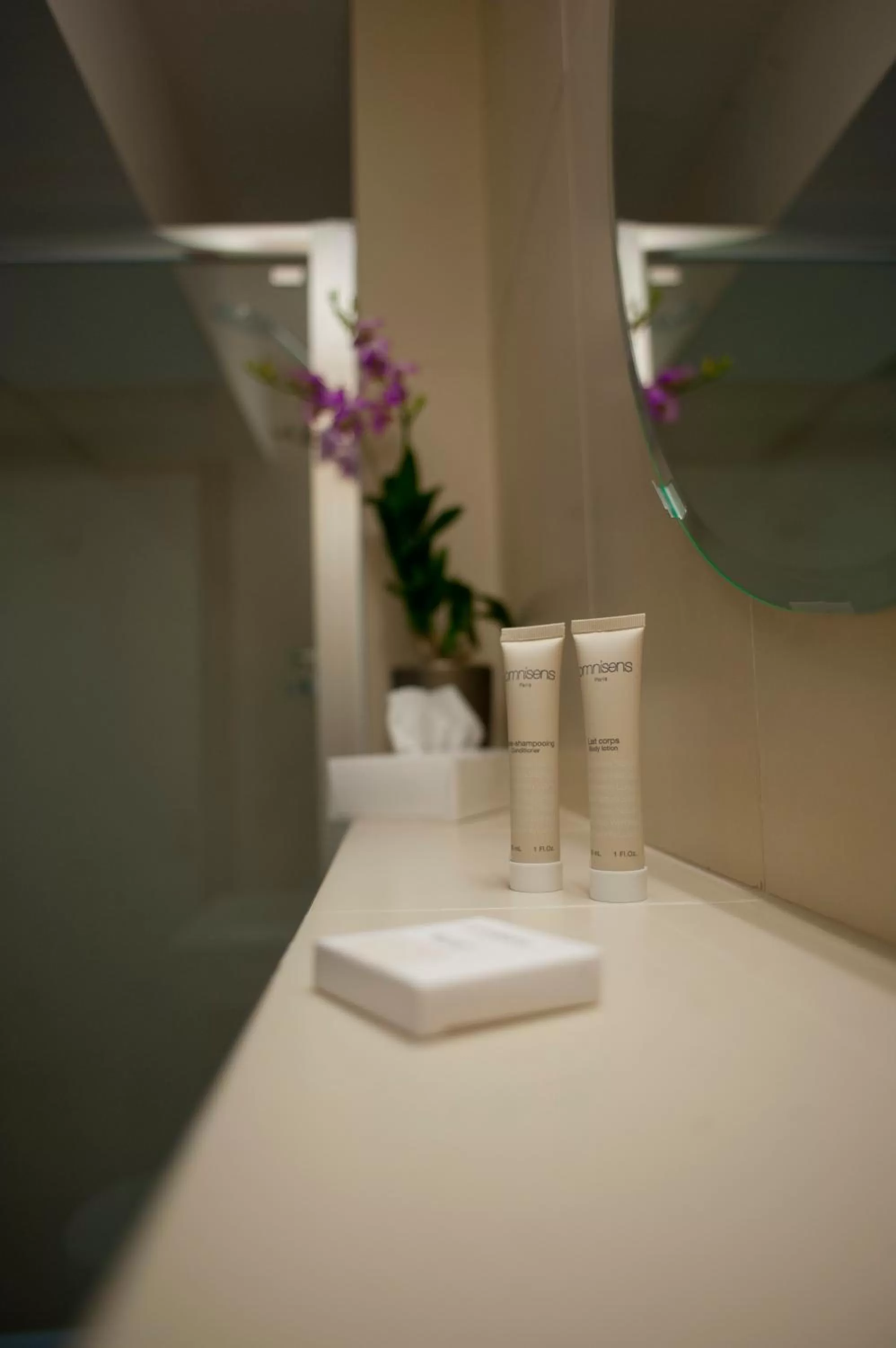 Decorative detail in Chamois d'Or Hotel