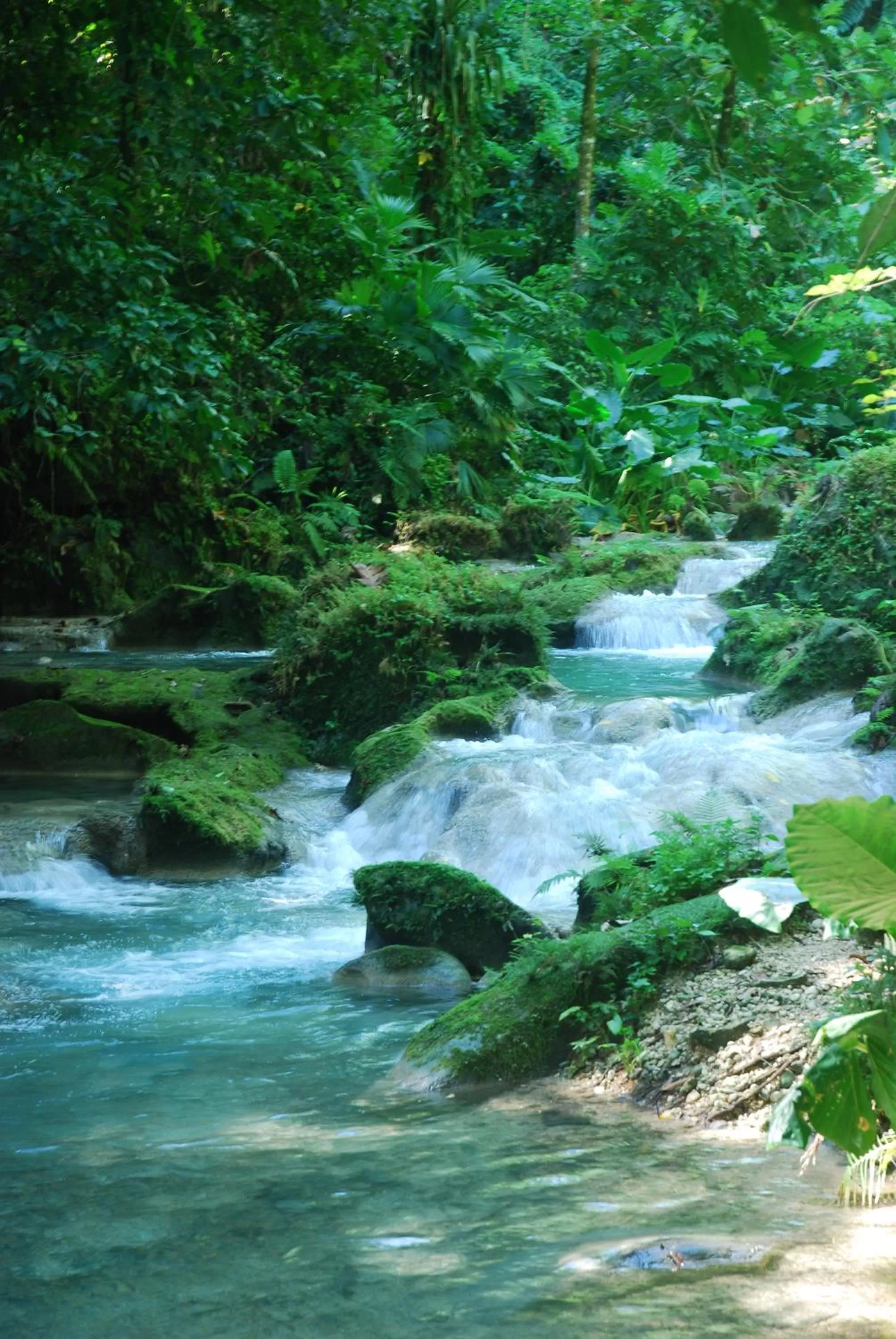 Neighbourhood in Zion Country