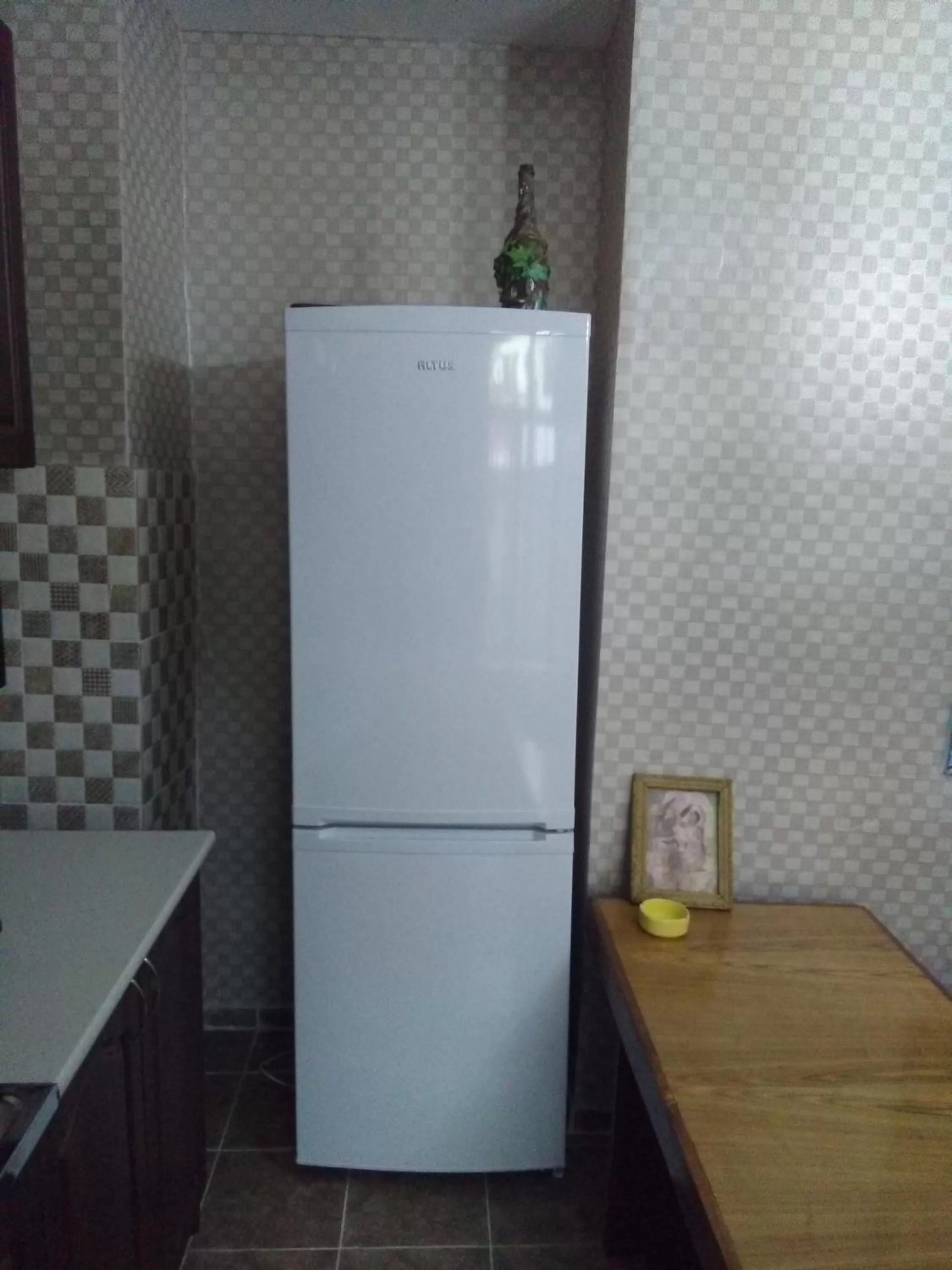 Kitchen/Kitchenette in Apartment Marina