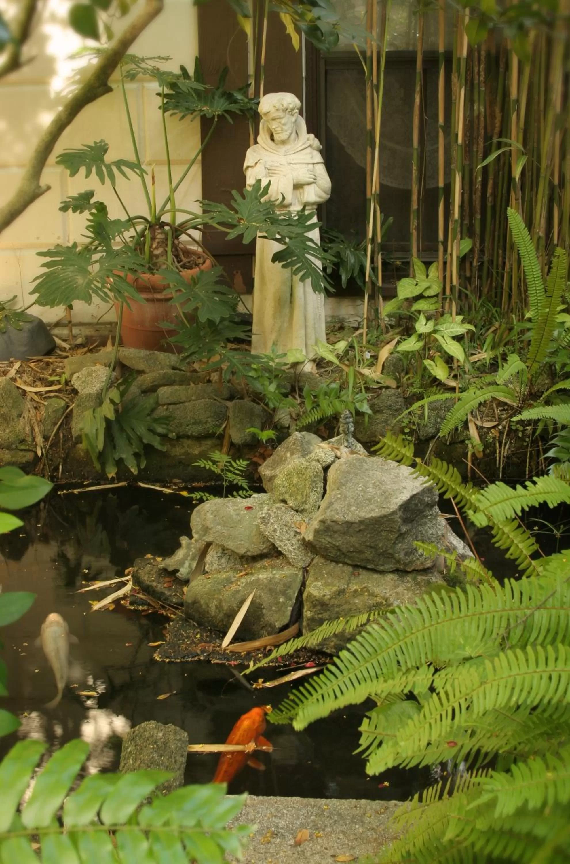 Garden in St. Francis Inn - Saint Augustine