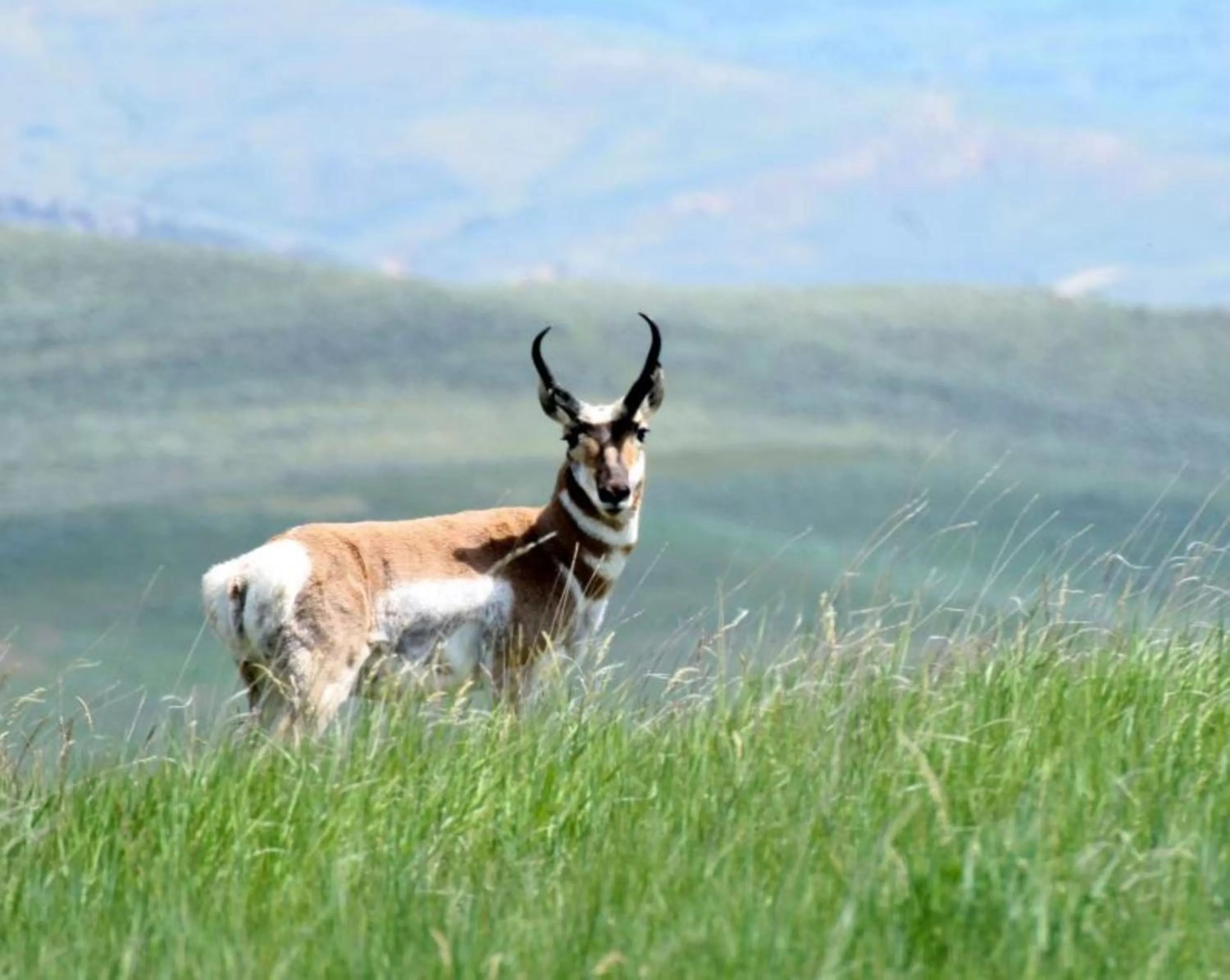 Nearby landmark in Candlewood Suites Craig-Northwest by IHG