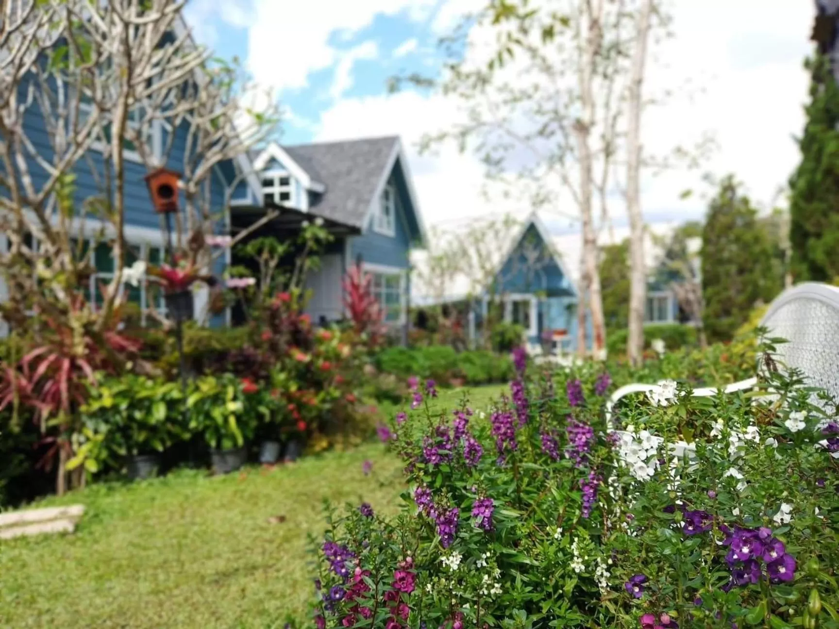 Baan JaoKorKluay บ้านเจ้ากอกล้วย